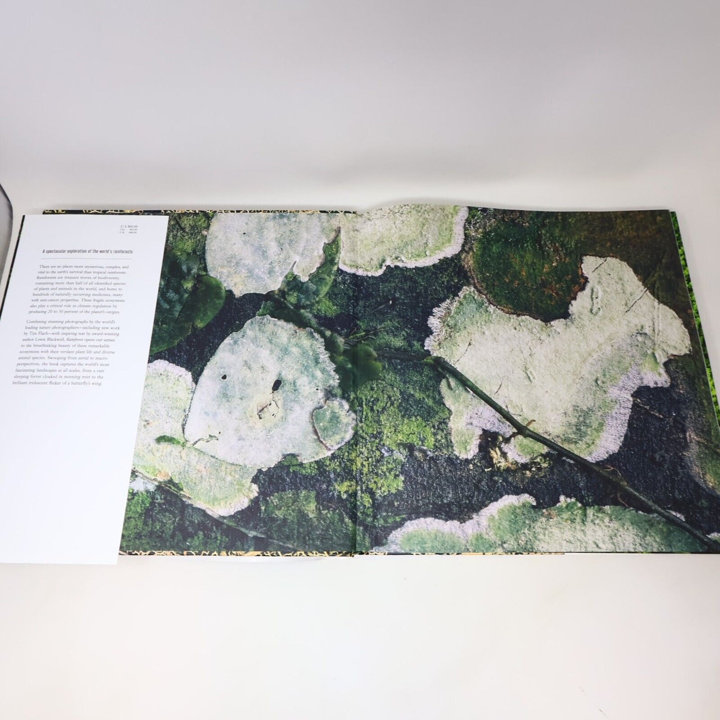 2014 Rainforest by Lewis Blackwell Nature Photos Harry N. Abrams Book Hardcover