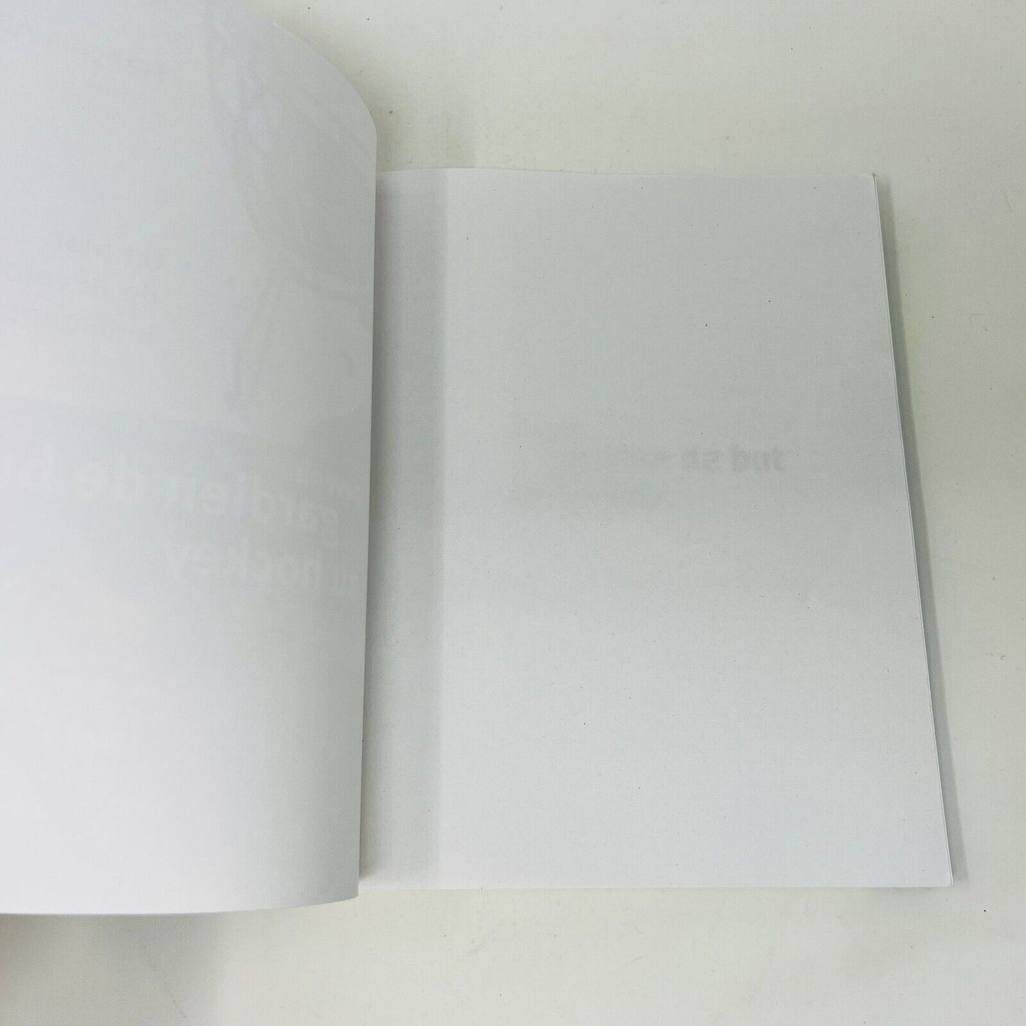 2008 Devenir Gardien de But au Hockey Nouvelle Édition de François Allaire Livre