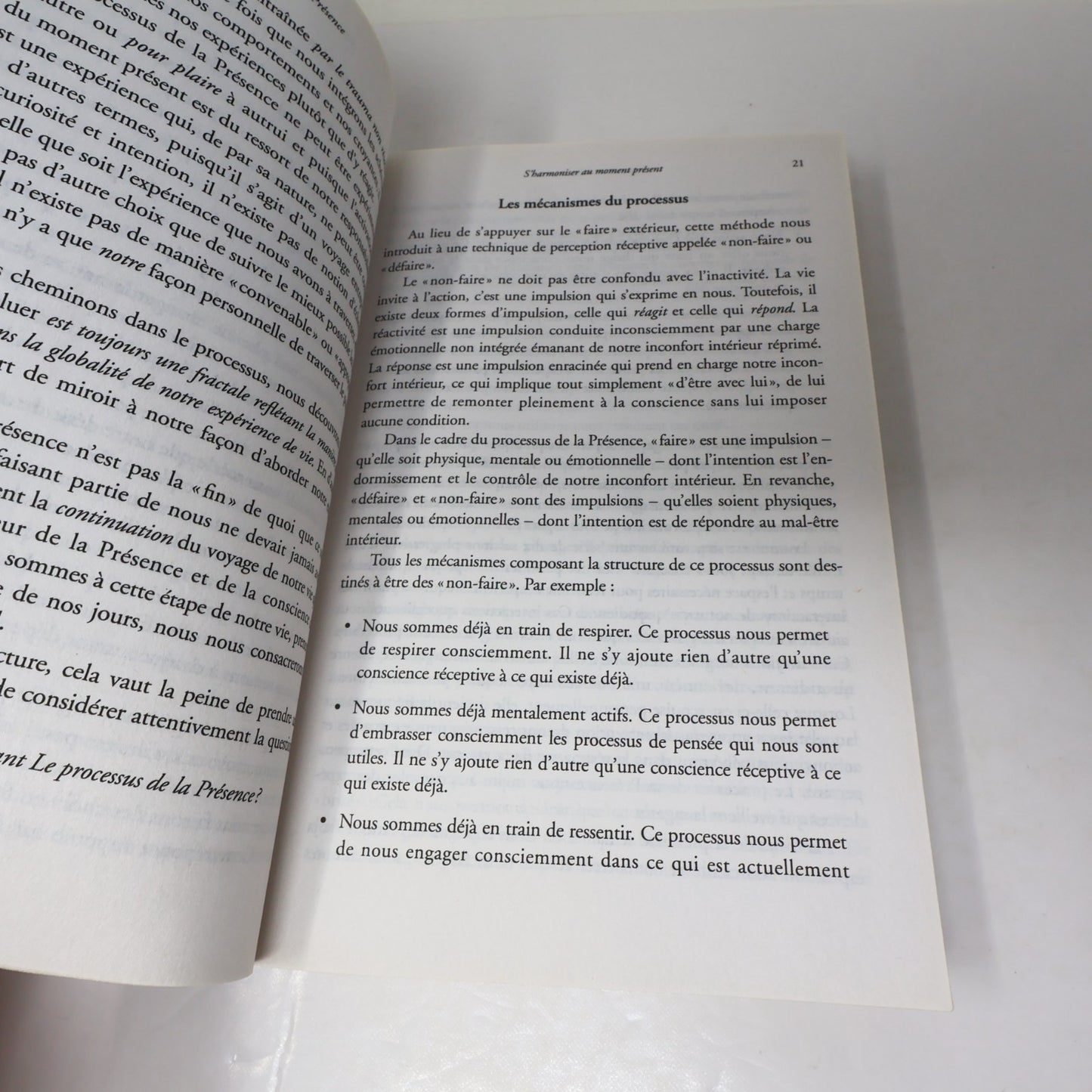 Le Processus de la Présence Michael Brown Ariane 2012 PB Français French Livre
