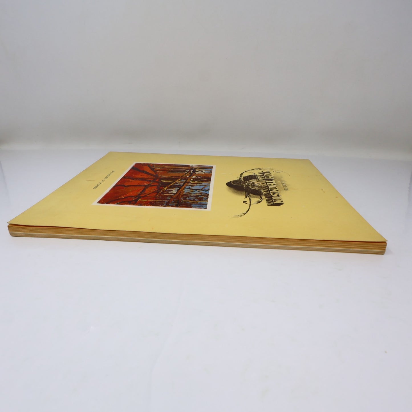 L'Art de Tom Thomson Art Gallery of Toronto 1972 Catalogue d'Exposition Français