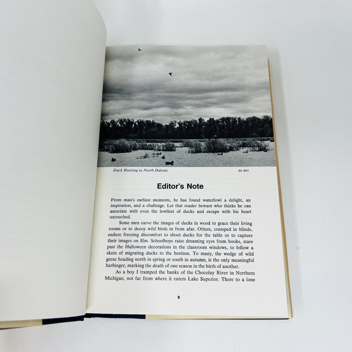 1974 Raising Wild Ducks in Captivity by Dayton O. Hyde Hardcover DJ Dutton IWWA