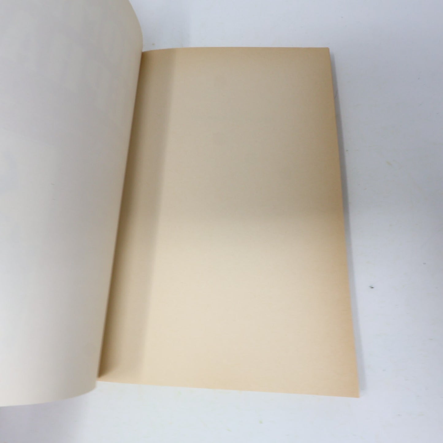 1981 Le Destin Tragique de l'Homme Éléphant Jutzi Biographie Sélect Français 80s