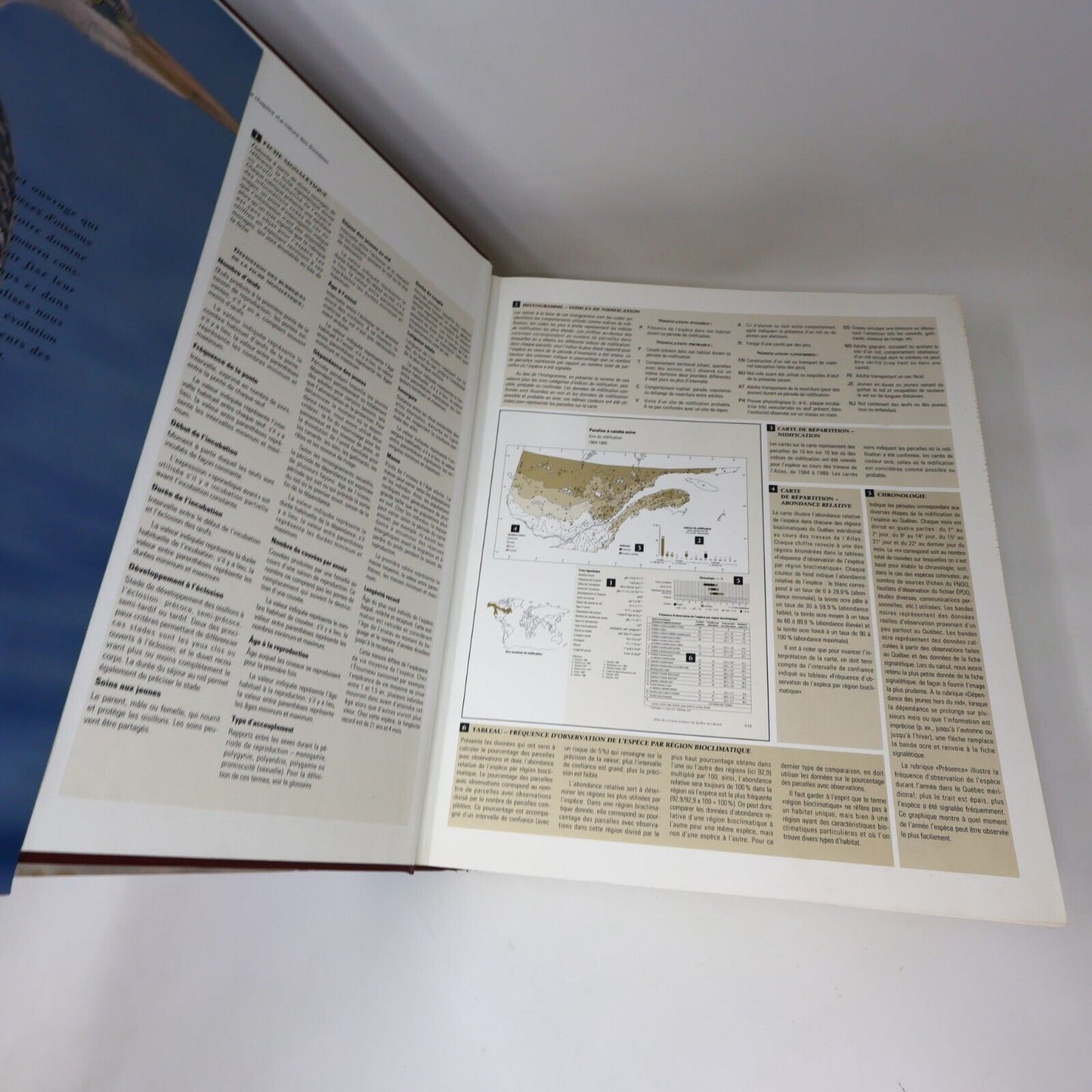 1996 Les Oiseaux Nicheurs du Québec Jean Gauthier Yves Aubry Atlas Nature Livre