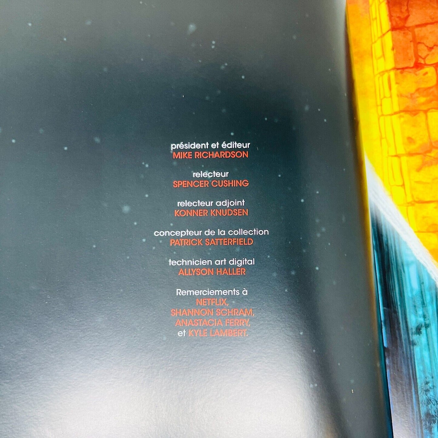 2020 Stranger Things Dans les Flammes en Français/French Bande Dessinée HC Mana