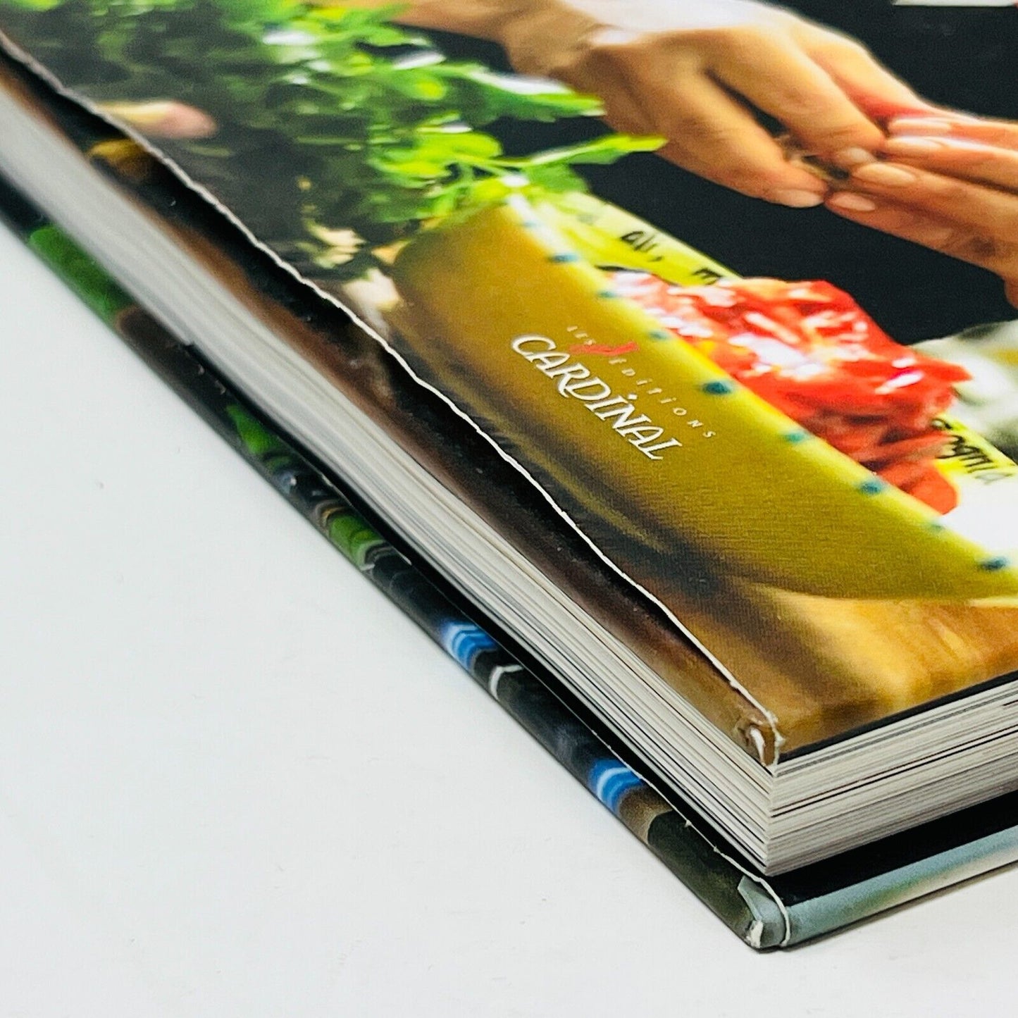 2009 Cuisinez avec Maria Loggia Livre de Recettes Émission Télévisée Célébrité