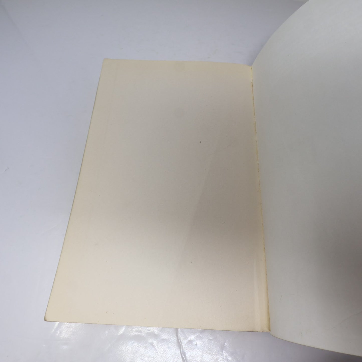 Harry Potter et la Chambre des Secrets Grand Format J.K. Rowling 2000 PB Livre