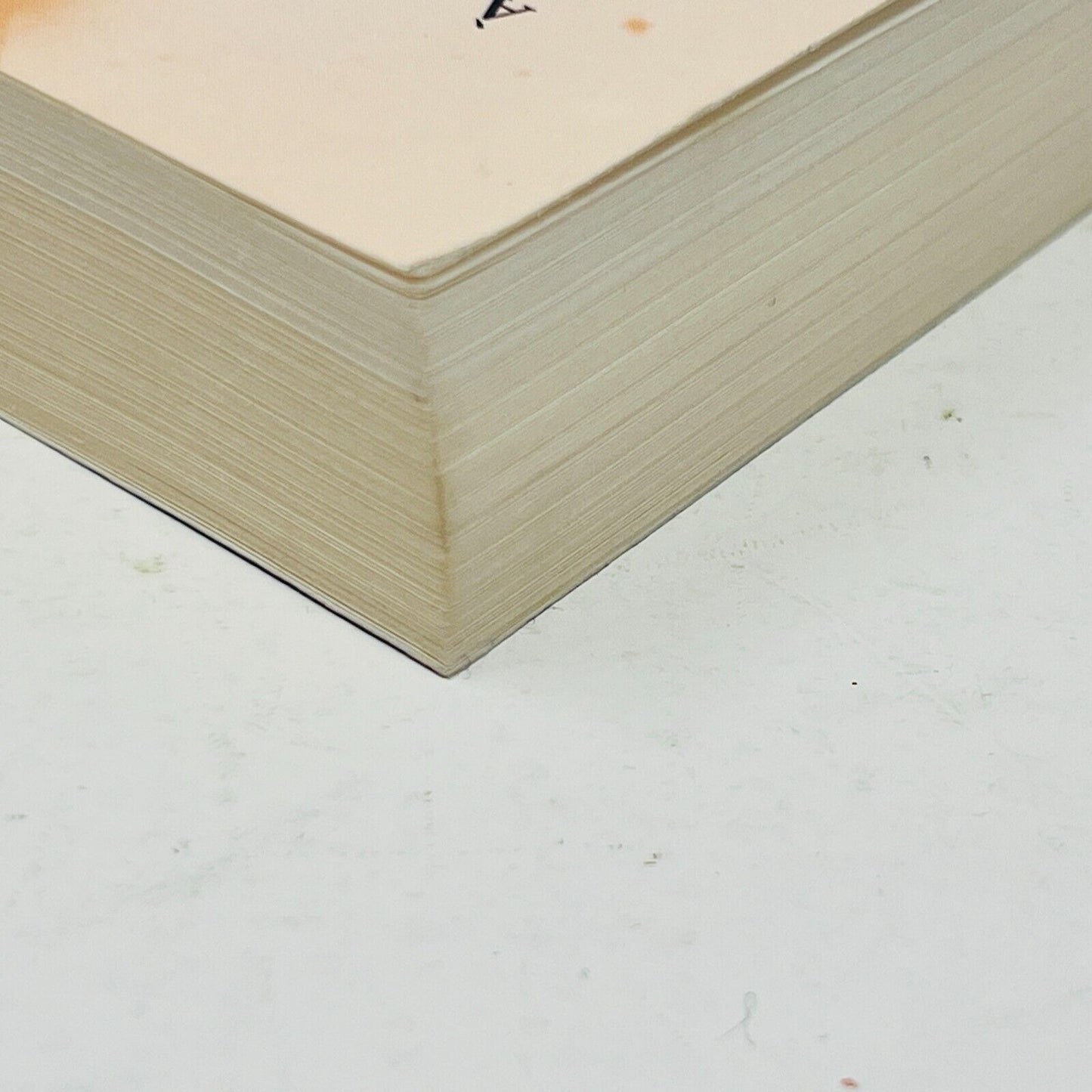 2004 L'Escalier Céleste le Second Livre des Chroniques de la Terre Mysticisme PB