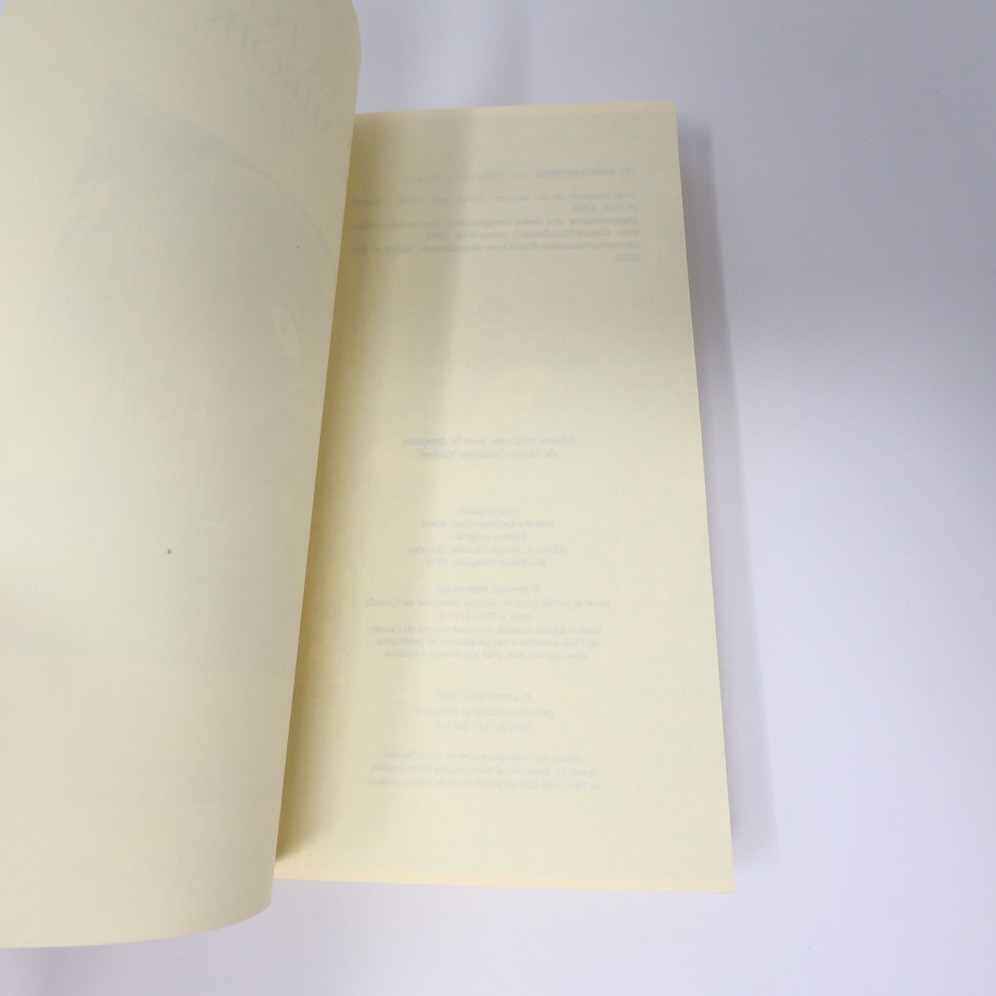 Alberto Manguel Lot 2 Livres Dans la Forêt du Miroir/Histoire de Lecture Essai