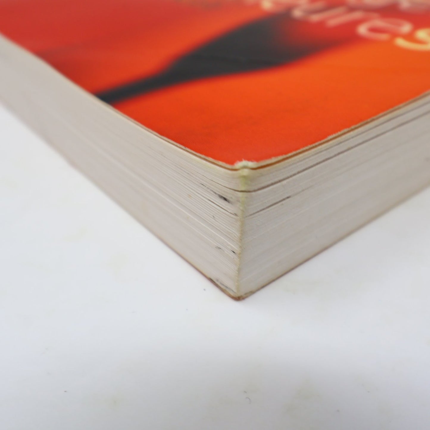 Guérir grâce à nos images intérieures Labonté/Bornemisza 2006 Psychologie PB