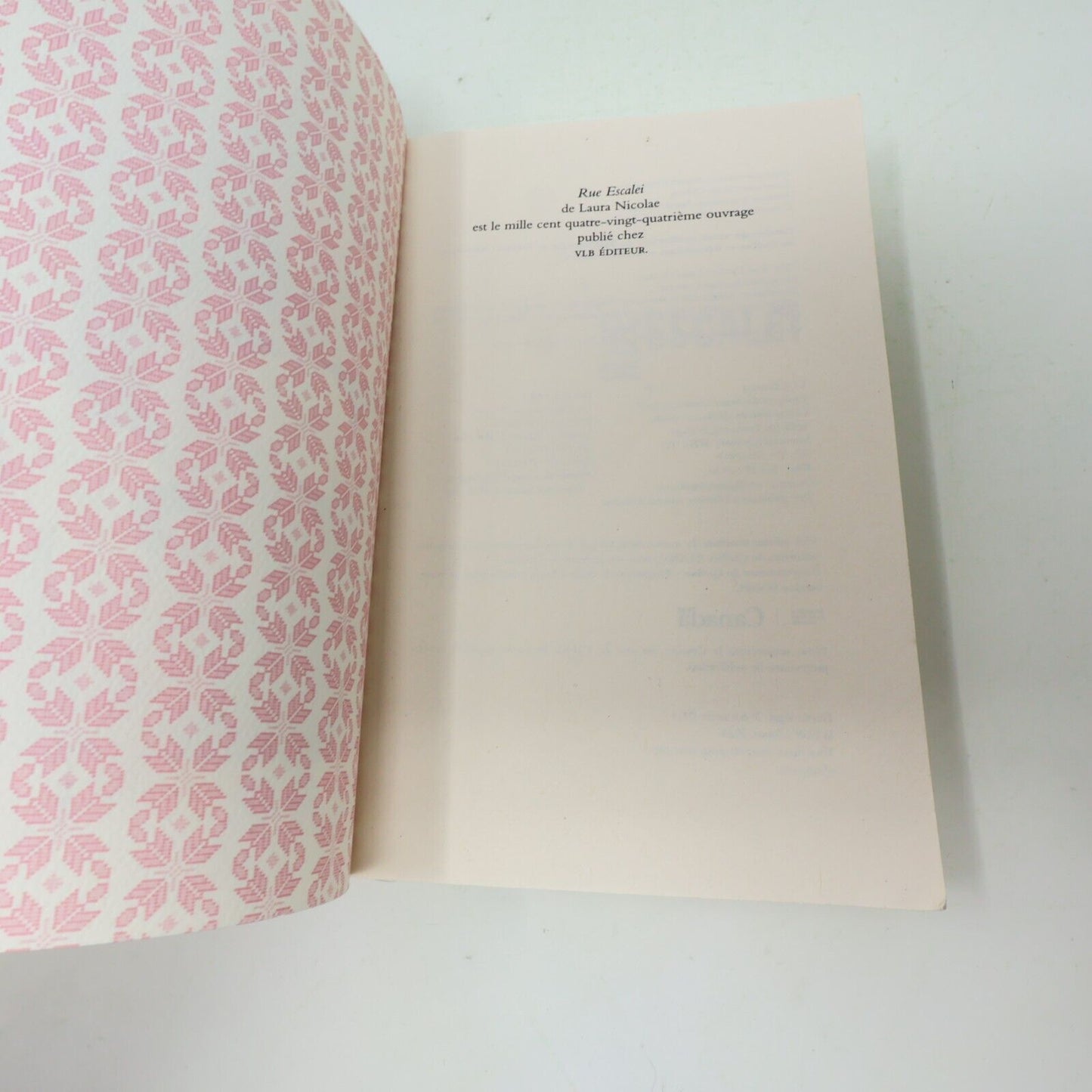 2024 Rue Escalei Laura Nicolae Littérature Québécoise Roman Vlb Français Livre