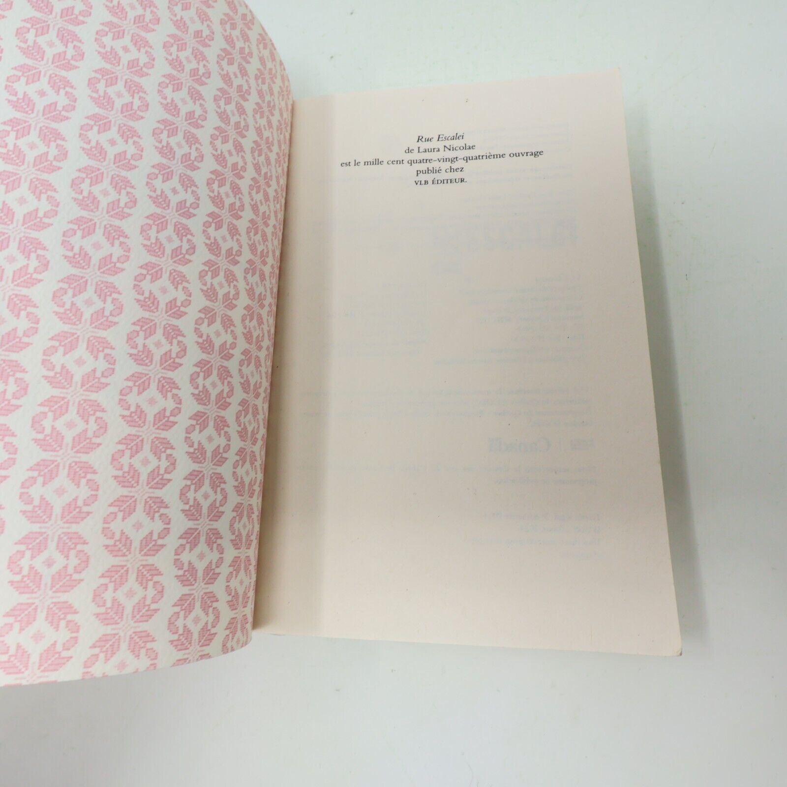 2024 Rue Escalei Laura Nicolae Littérature Québécoise Roman Vlb Français Livre