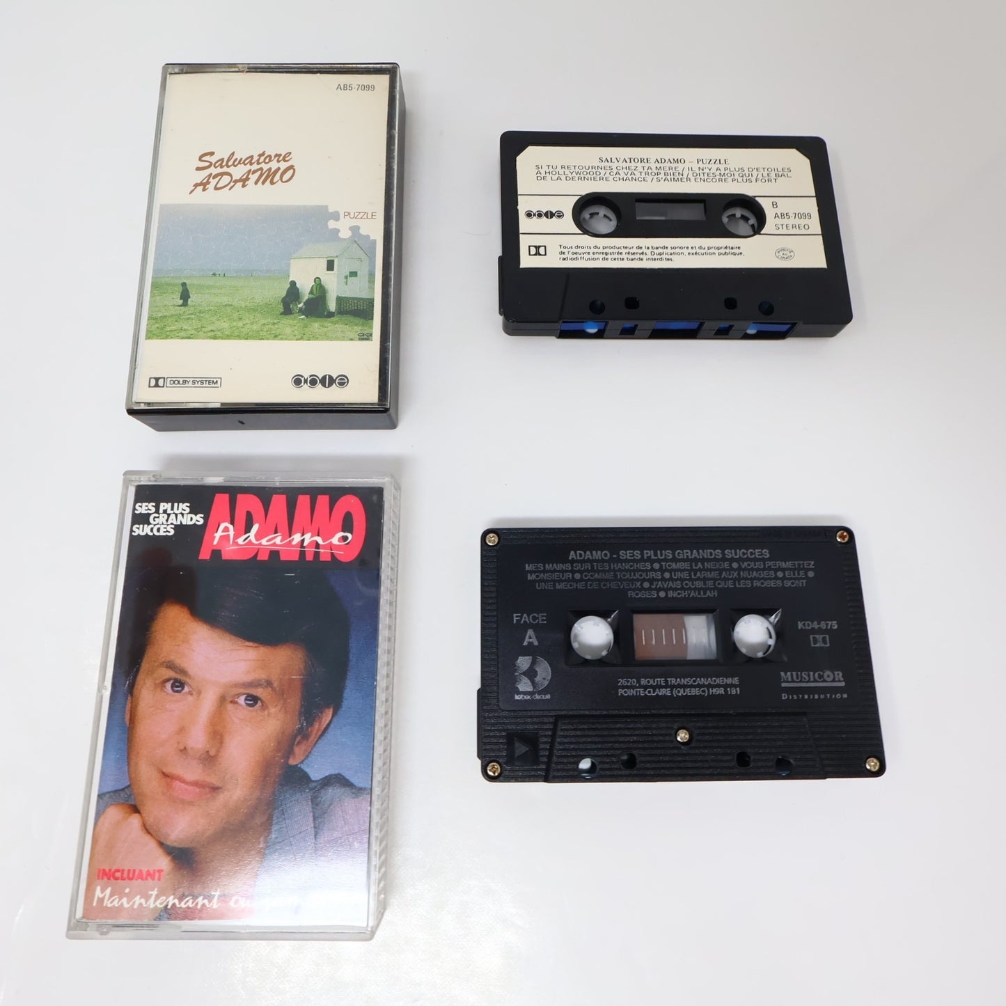 Salvatore Adamo Lot 2 Cassette Ses Plus Grands Succès/Puzzle C'est Ma Vie/Elle