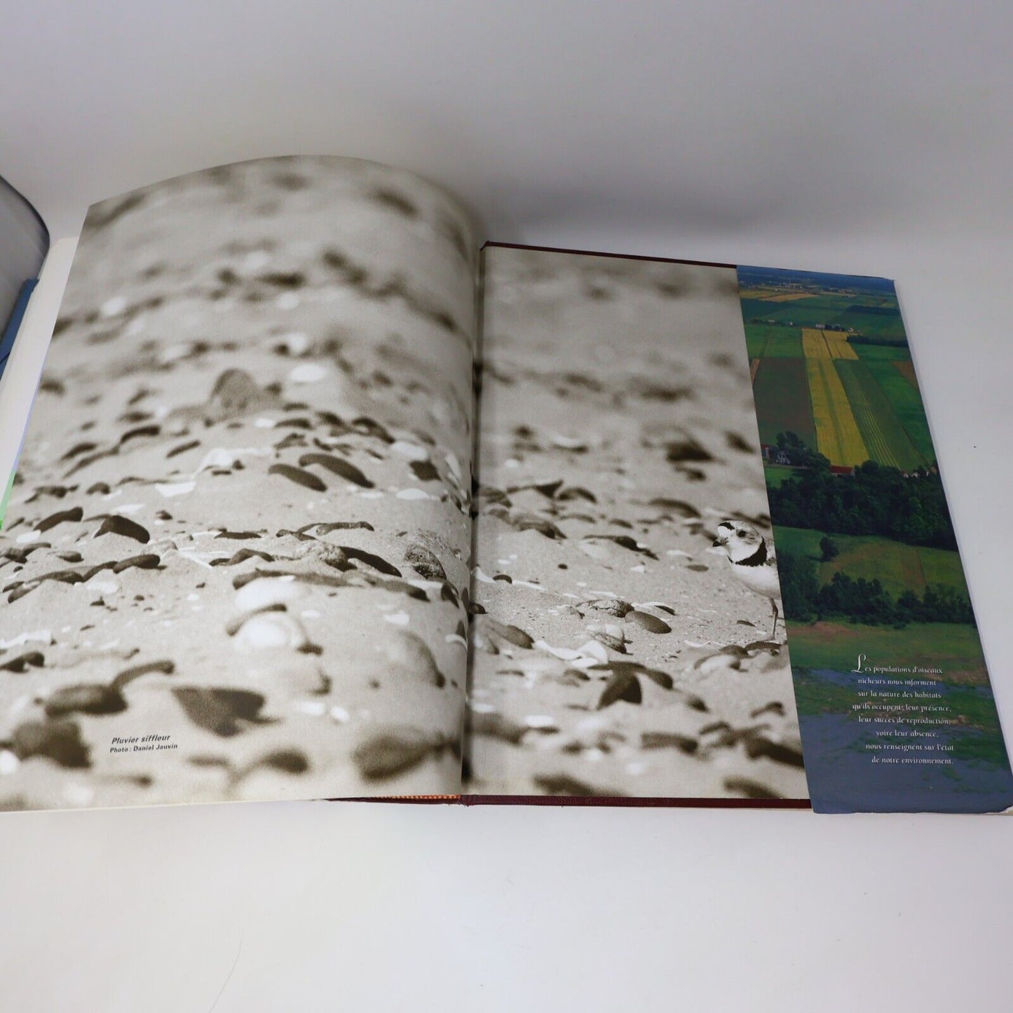 1996 Les Oiseaux Nicheurs du Québec Jean Gauthier Yves Aubry Atlas Nature Livre