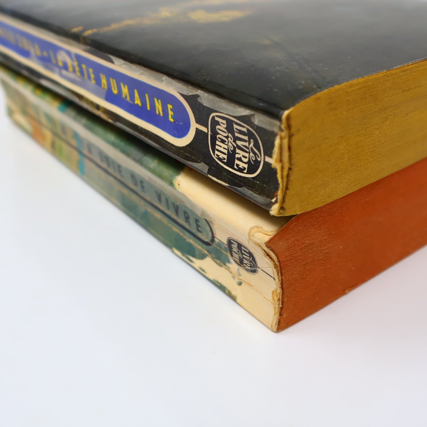 Émile Zola Lot 2 Livres Poche La Joie de Vivre/Bête Humaine Roman France French