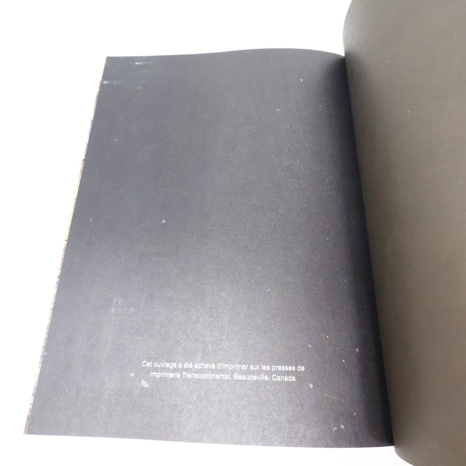 Le Bon Mix Patrice Plante Pierre-Yves Lord 2015 Recettes Cocktail Livre Québec
