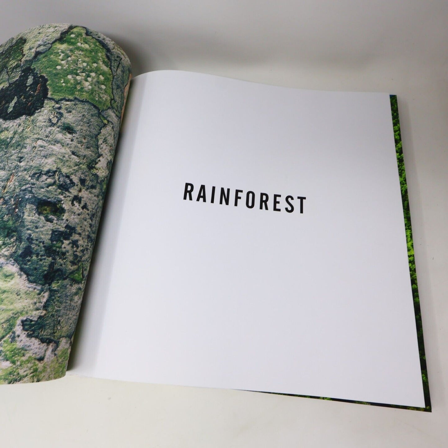 2014 Rainforest by Lewis Blackwell Nature Photos Harry N. Abrams Book Hardcover