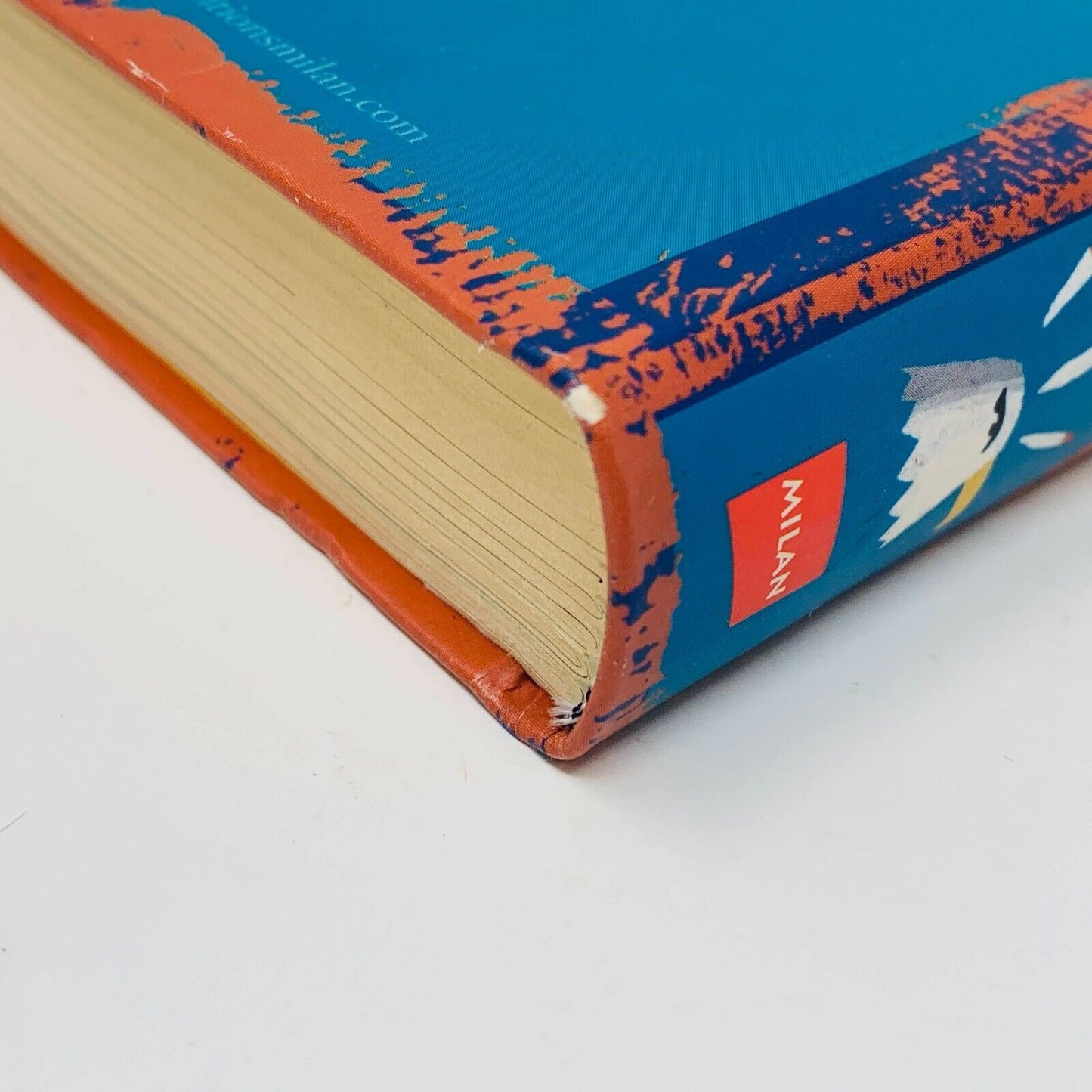 2008 Mille Ans de Contes Indiens d'Amérique du Nord Livre Milan Français French