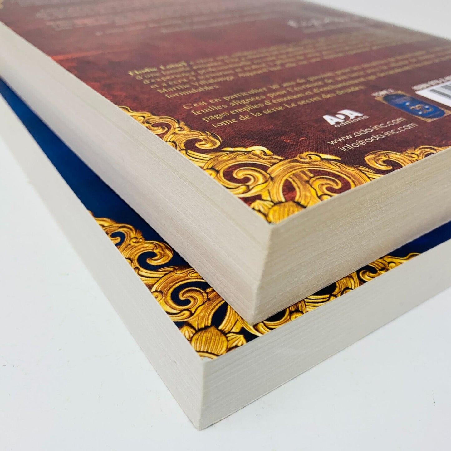 Le Secret des Druides 1-2 L'Héritier/Les Trésors de Merlin Élodie Loisel ADA Lot