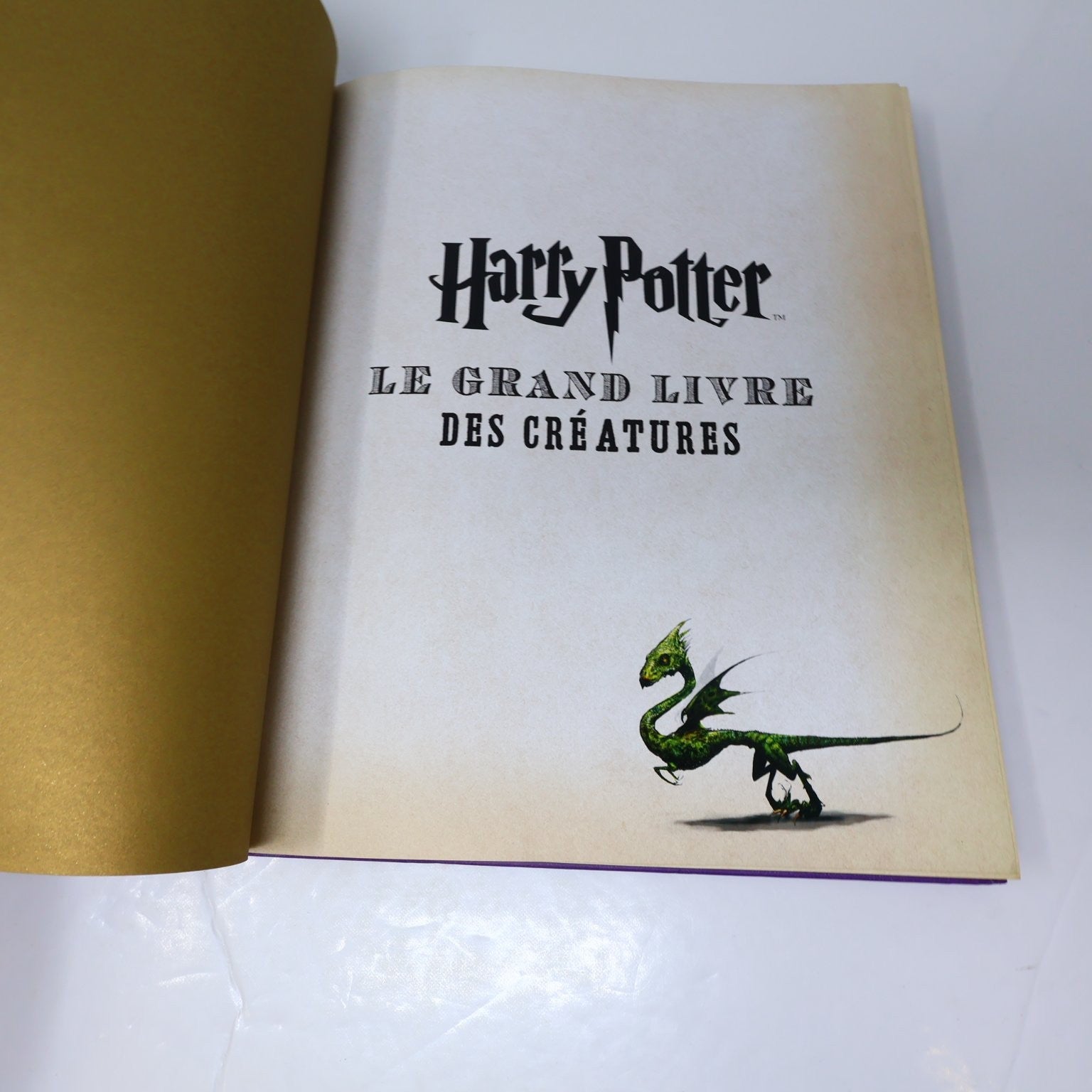 Harry Potter Le Grand Livre Des Créatures 2014 Français/French HC Jody Revenson