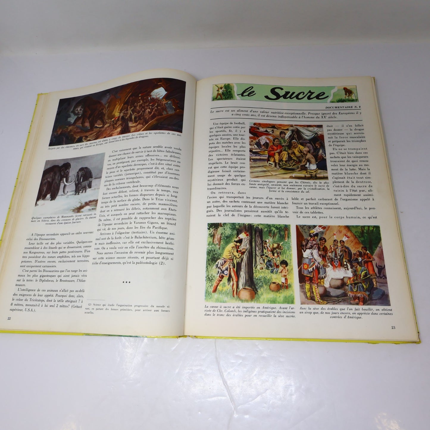 Le Nouveau Tout Connaître Encyclopédie en Couleurs Lot 24 Livres Histoire HC 60s