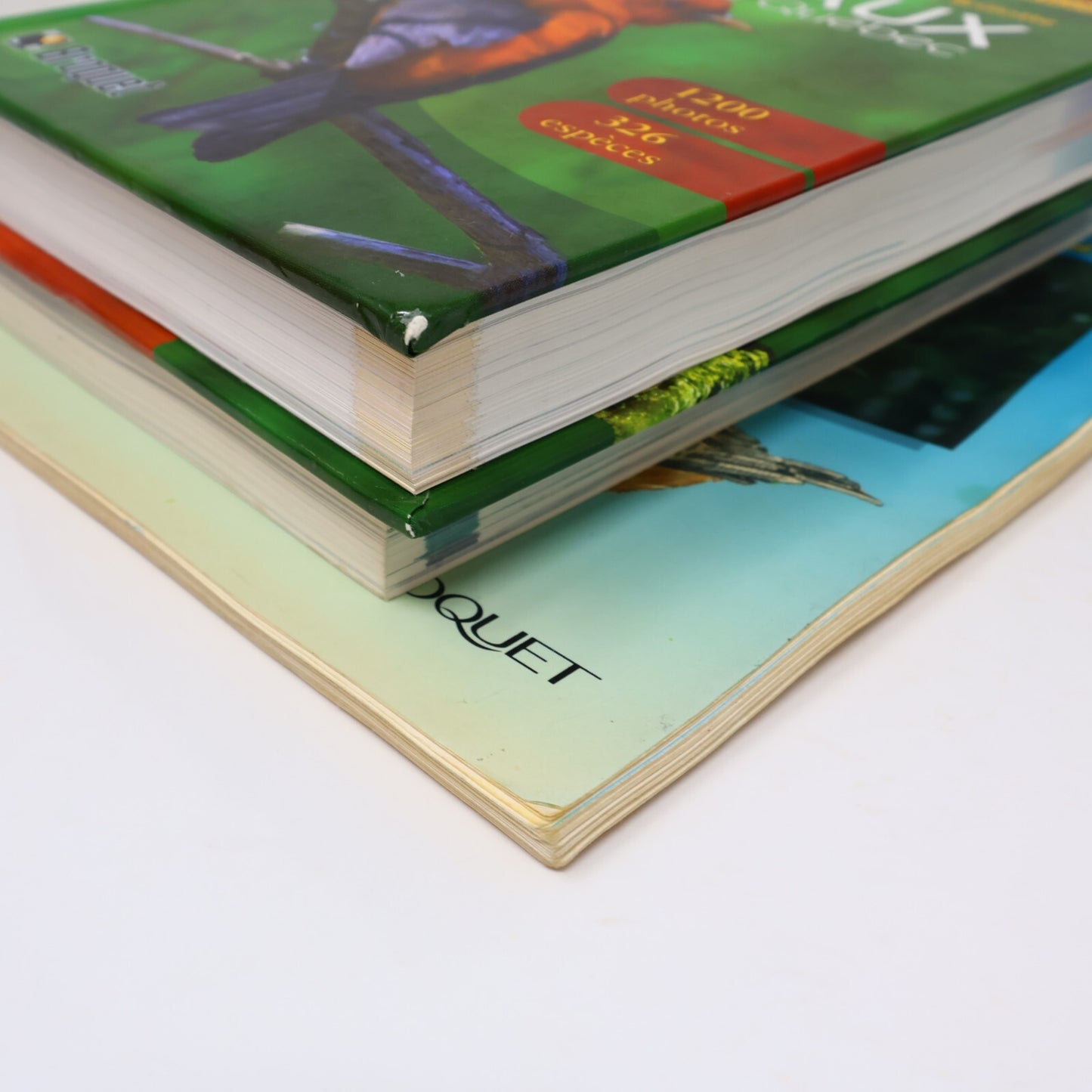 Suzanne Brûlotte Lot 3 Livres Les Oiseaux du Québec Guide d'Identification Books