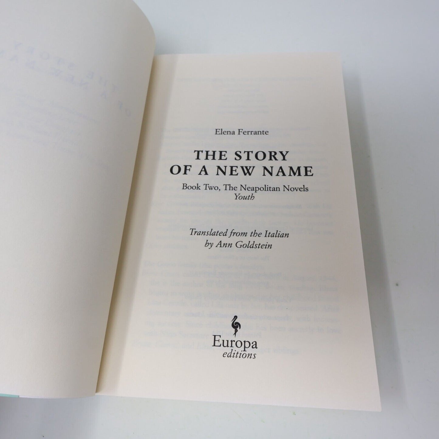 2013 The Story of a New Name Elena Ferrante Europa Paperback Women's Fiction PB
