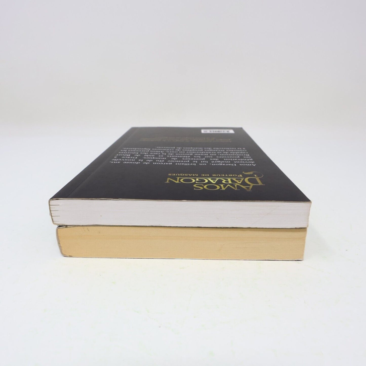 Lot 2 Livres Amos Daragon #1, 3 Bryan Perro Perro Éditeur Fantastique Français