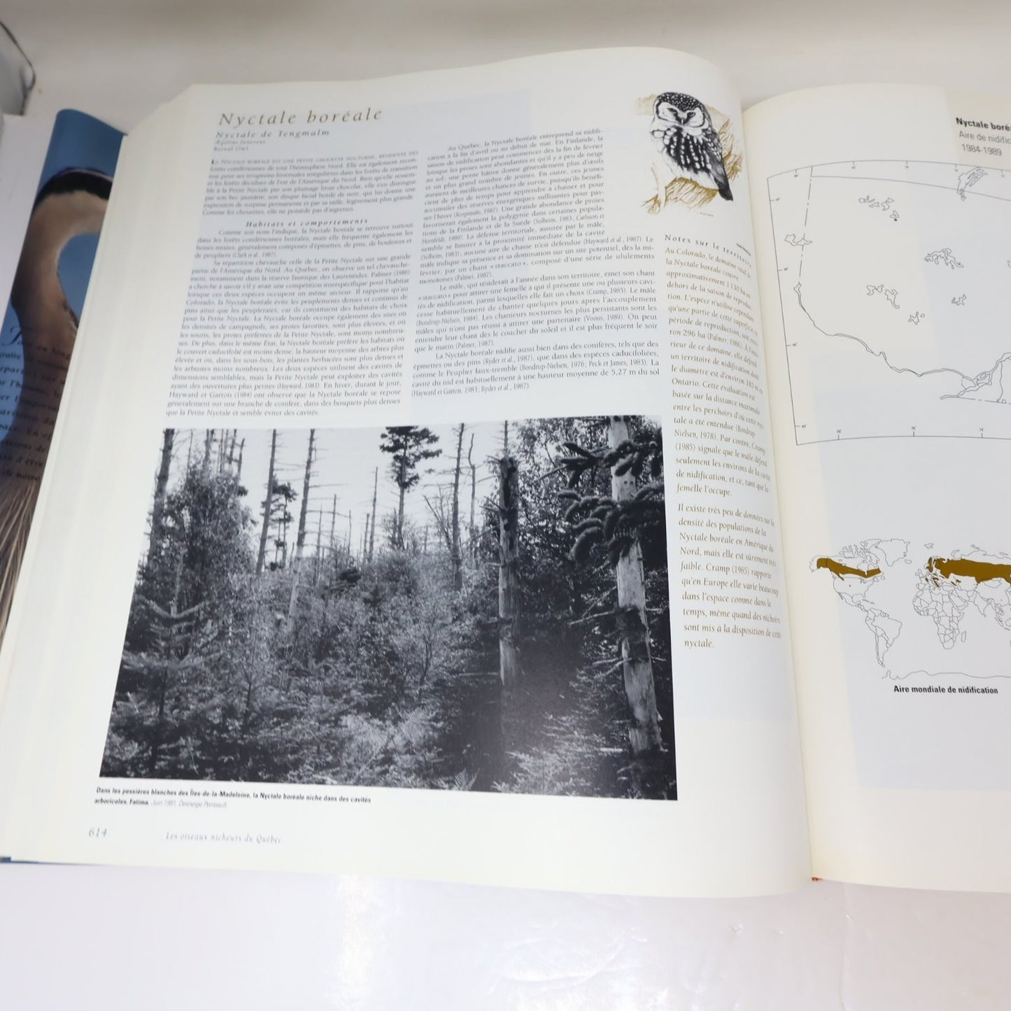 Les Oiseaux Nicheurs du Québec Jean Gauthier 1995 Atlas Illustré Faune Birds