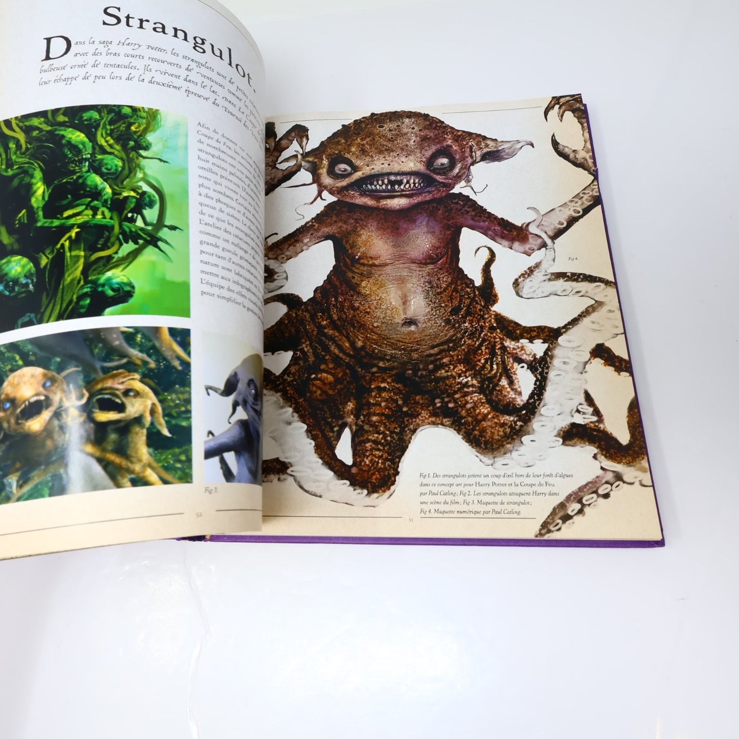 Harry Potter Le Grand Livre Des Créatures 2014 Français/French HC Jody Revenson