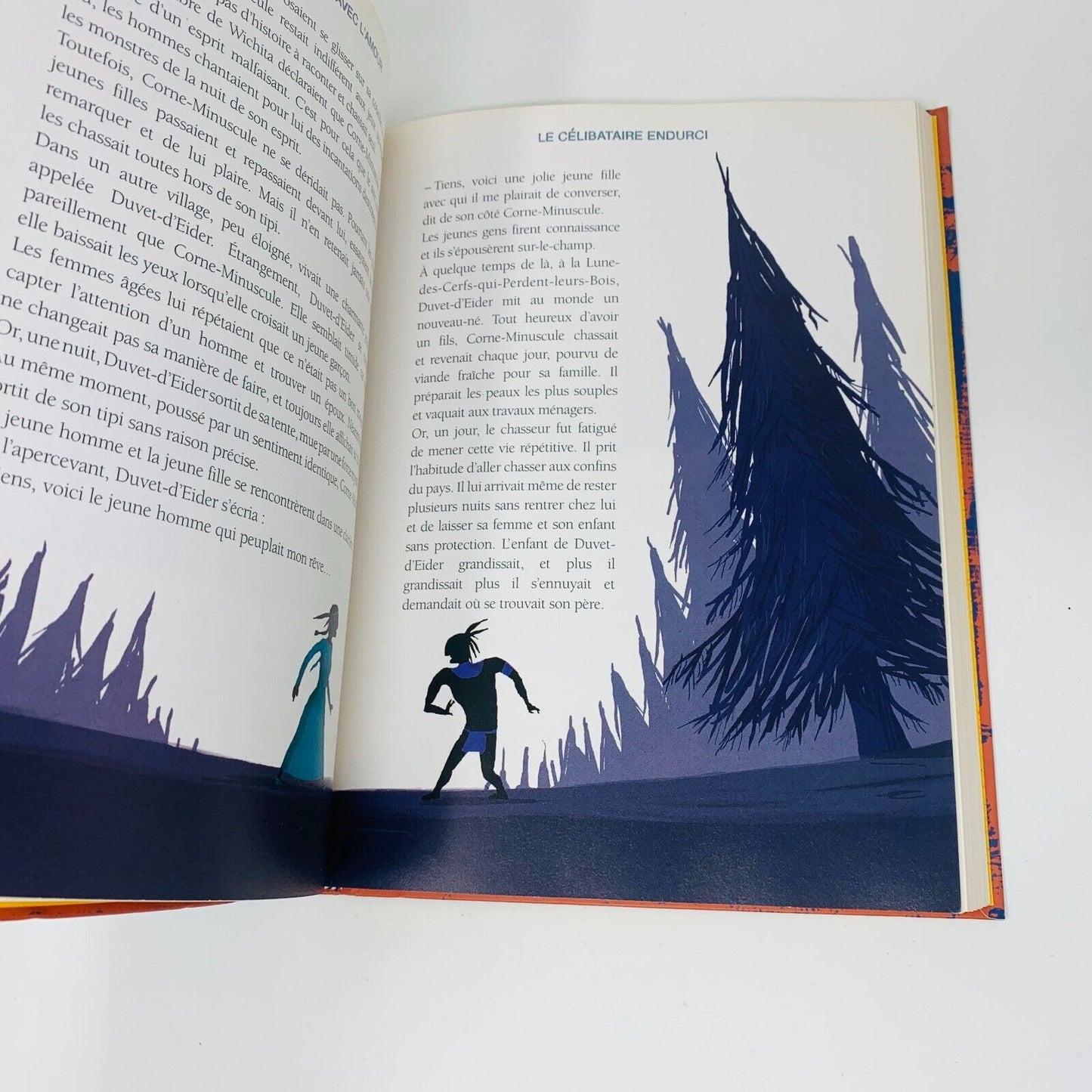 2008 Mille Ans de Contes Indiens d'Amérique du Nord Livre Milan Français French