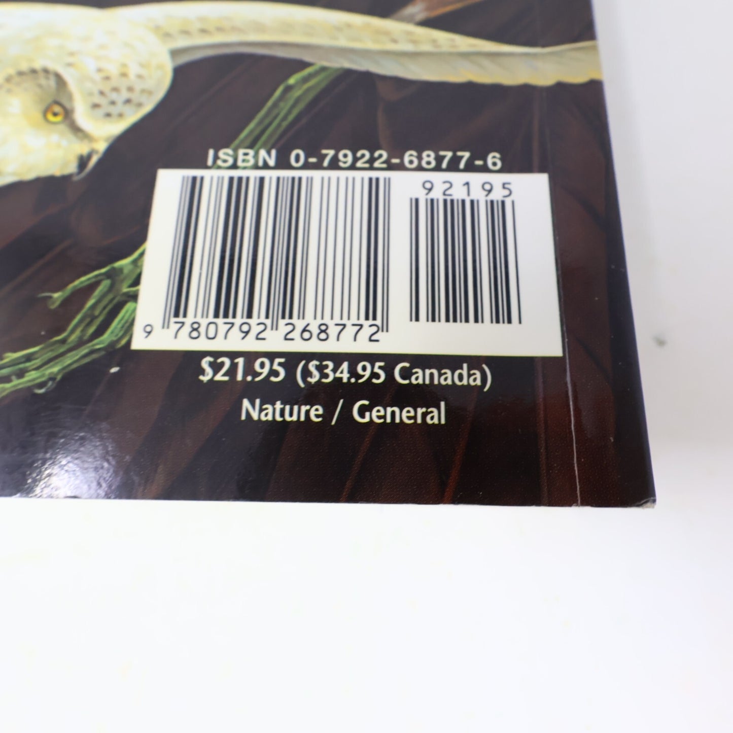 2002 Field Guide to the Birds of North America National Geographic Society Book