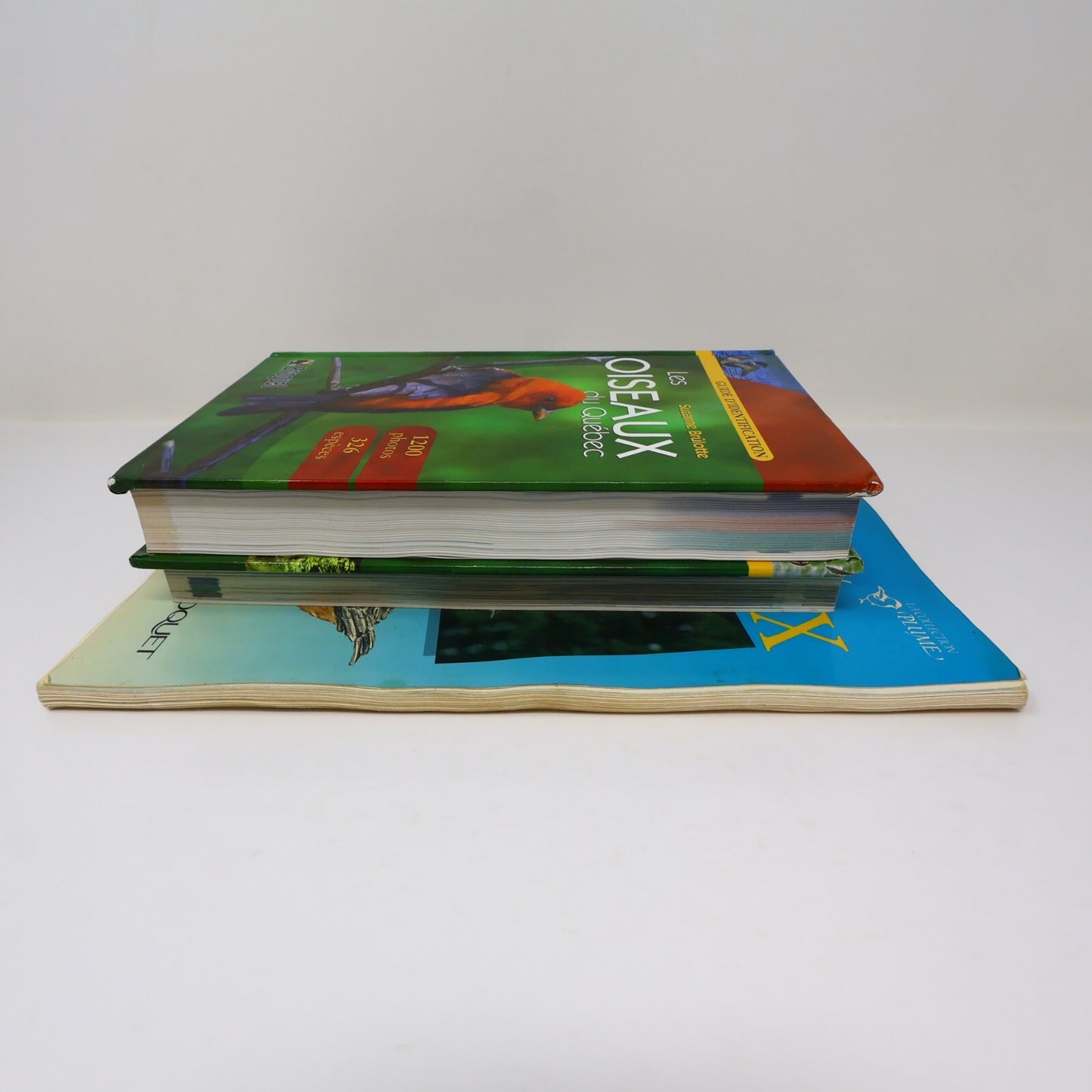 Suzanne Brûlotte Lot 3 Livres Les Oiseaux du Québec Guide d'Identification Books