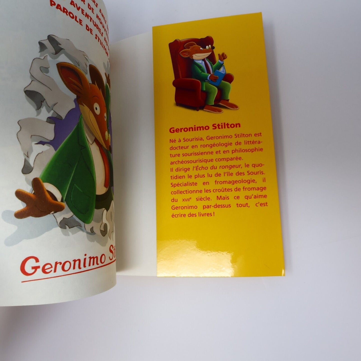 Lot 12 Livres Geronimo Stilton Albin Michel Français French Enfants Paperback PB
