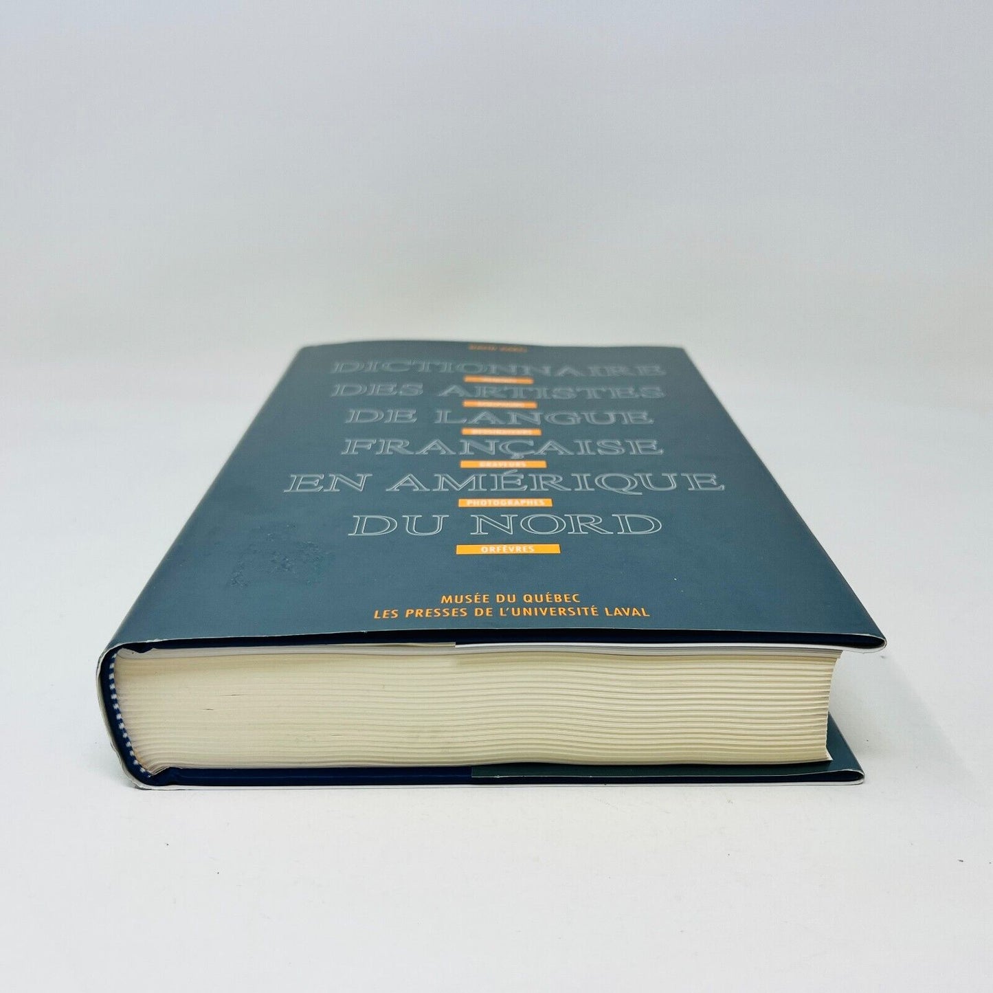 Dictionnaire des Artistes de Langue Française en Amérique du Nord de David Karel