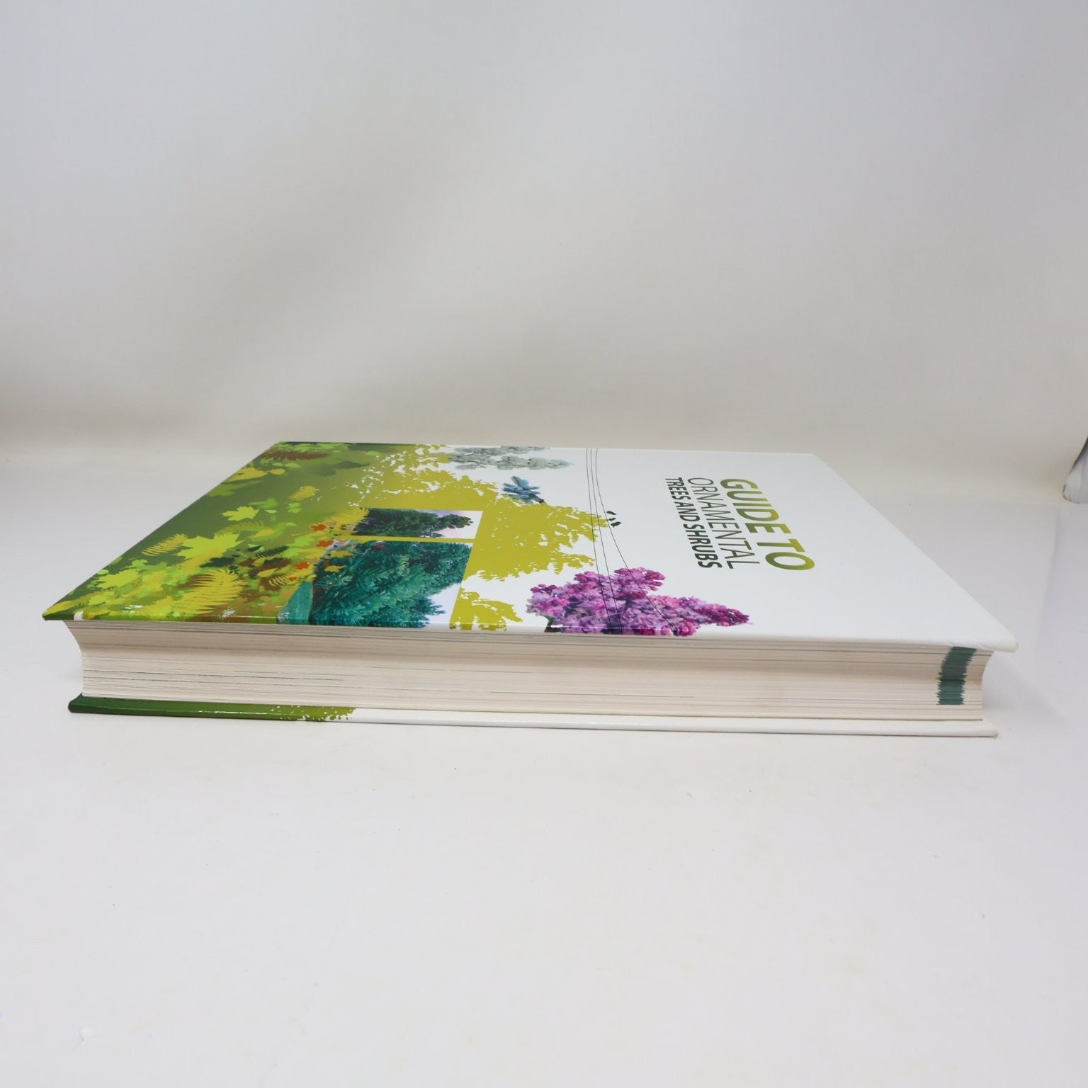Guide to Ornamental Trees and Shrubs Hydro-Quebec 2005 3rd Ed Gardening Broquet