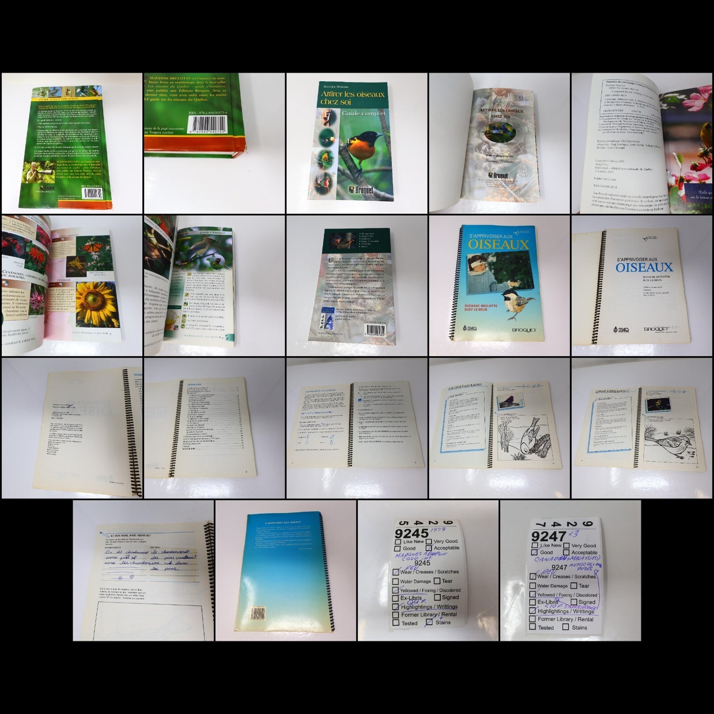 Suzanne Brûlotte Lot 3 Livres Les Oiseaux du Québec Guide d'Identification Books