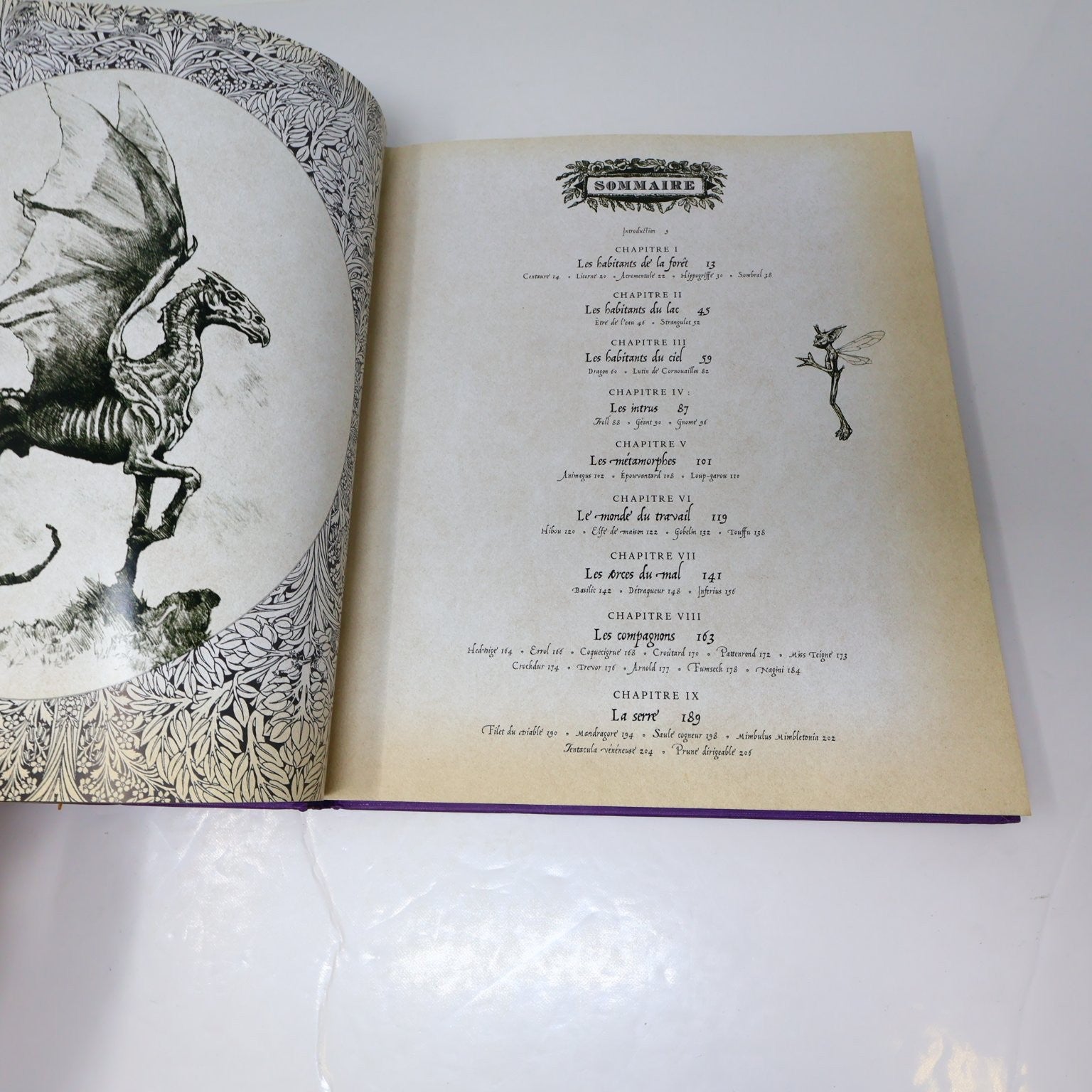 Harry Potter Le Grand Livre Des Créatures 2014 Français/French HC Jody Revenson