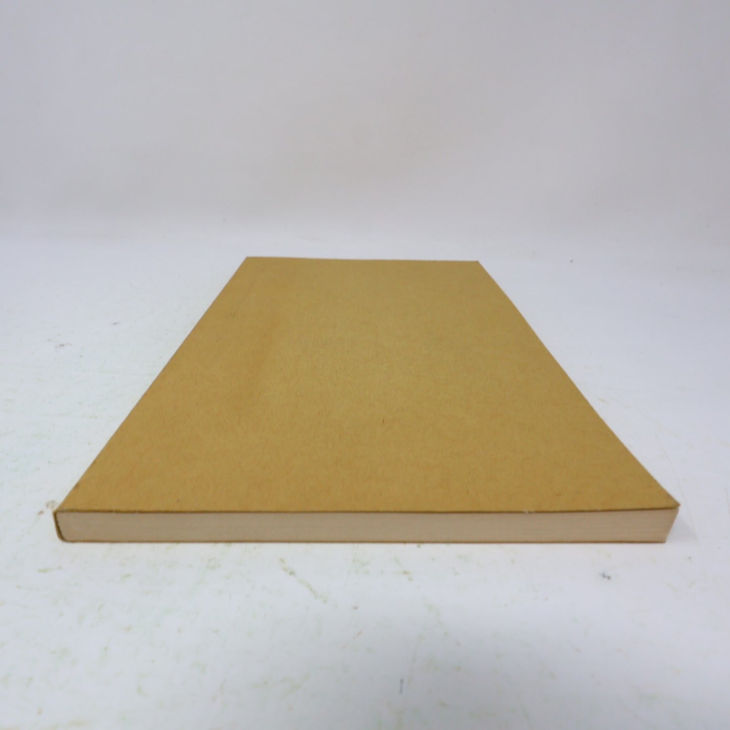 1971 Troski et le Troskisme Léon Trotski Éditions Norman Bethune Philosophie 70s