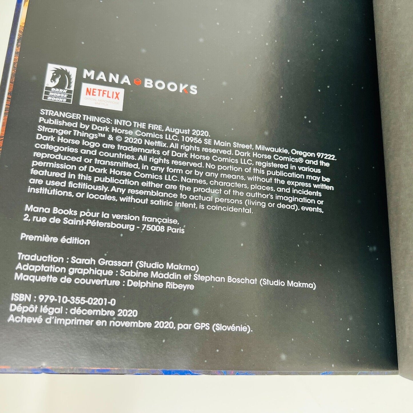 2020 Stranger Things Dans les Flammes en Français/French Bande Dessinée HC Mana
