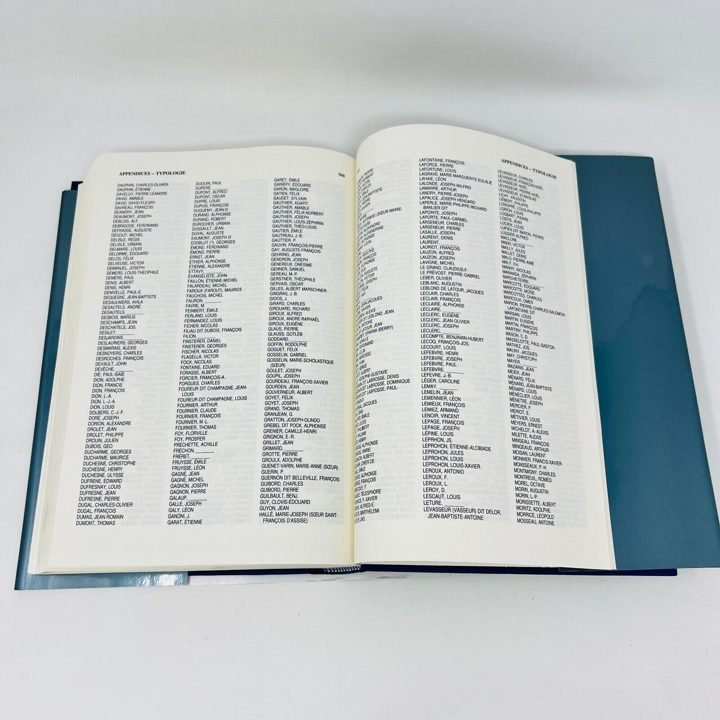 Dictionnaire des Artistes de Langue Française en Amérique du Nord de David Karel