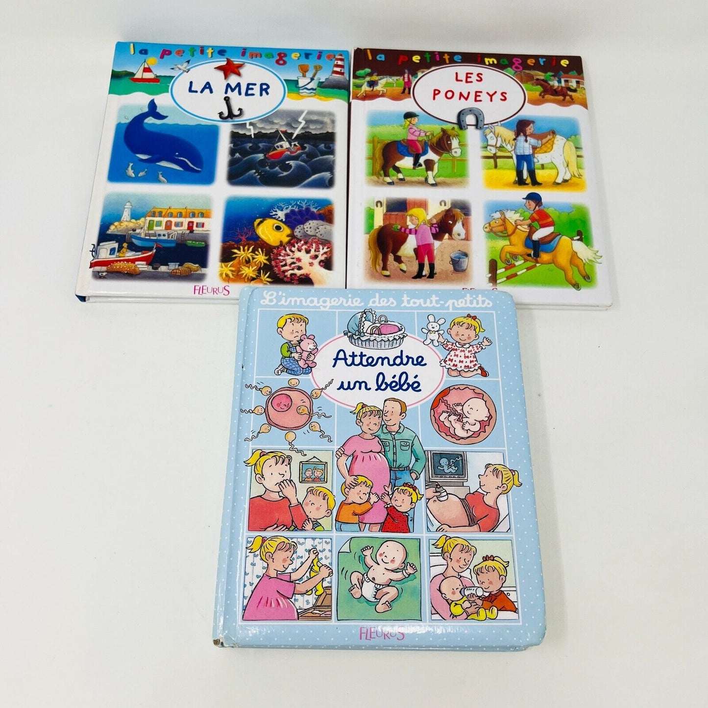 10x L'Imagerie Fleurus Lot Livres Enfants Français École Dinosaures Corps Humain