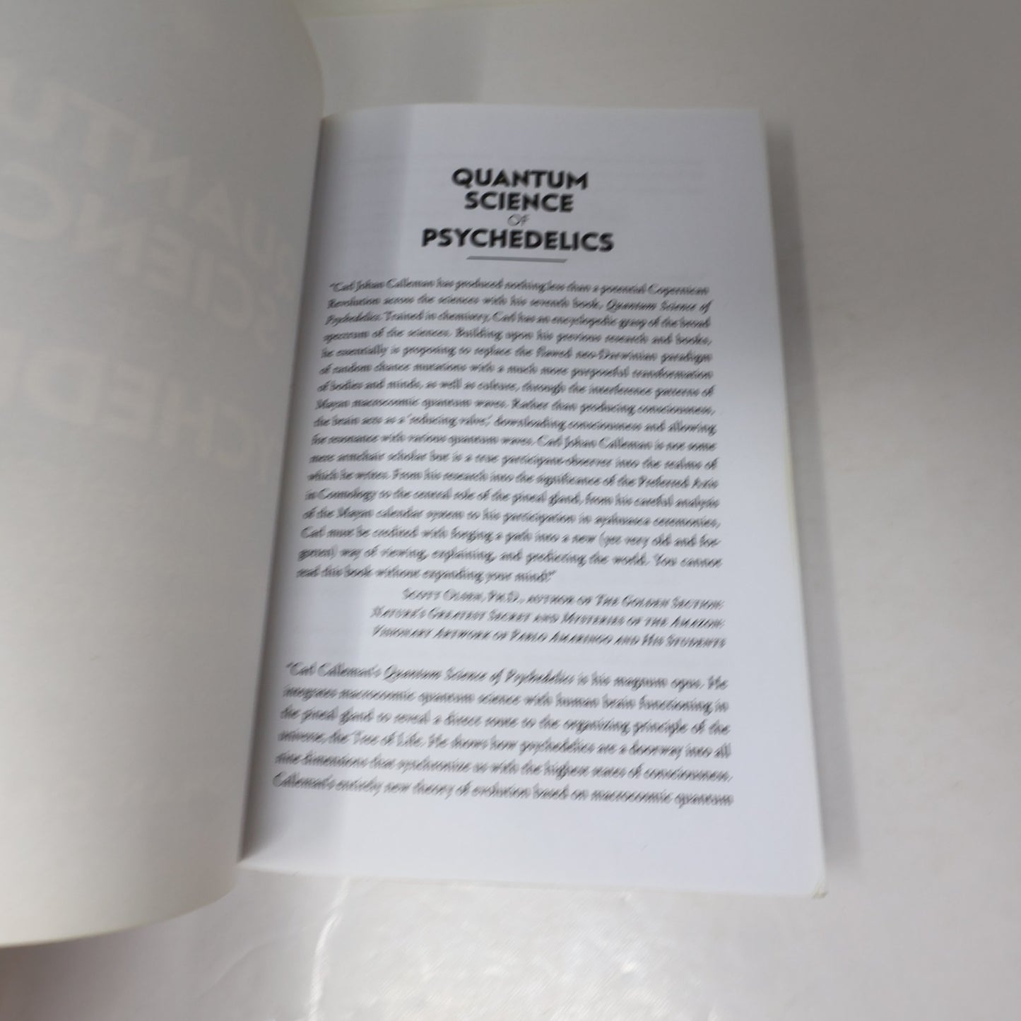 Quantum Science of Psychedelics Carl Johan Calleman Bear & Co 2020 PB 1st Print