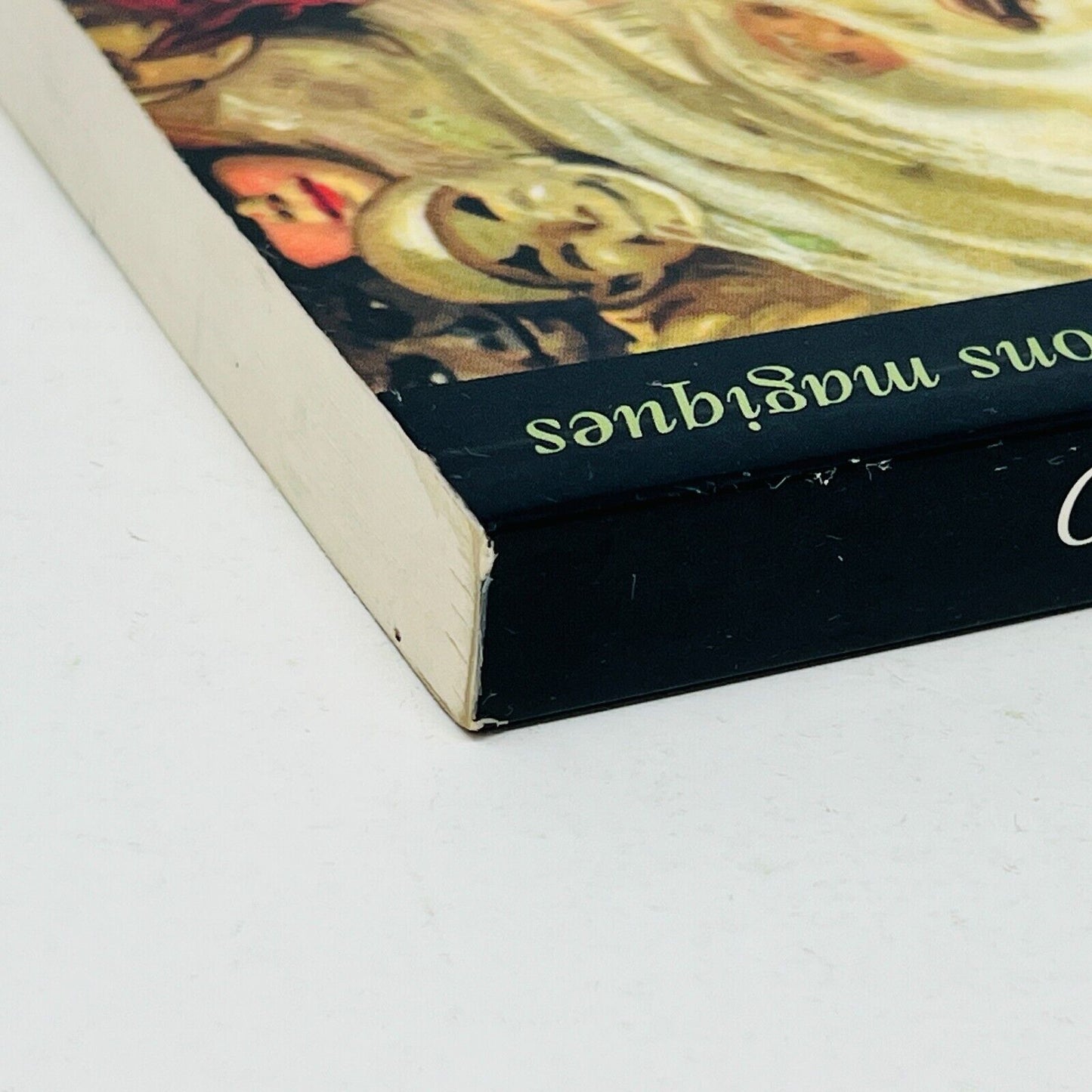 2002 Grimoire des Herbes Magiques Nouvelle Édition Potions Éric Pier Sperandio
