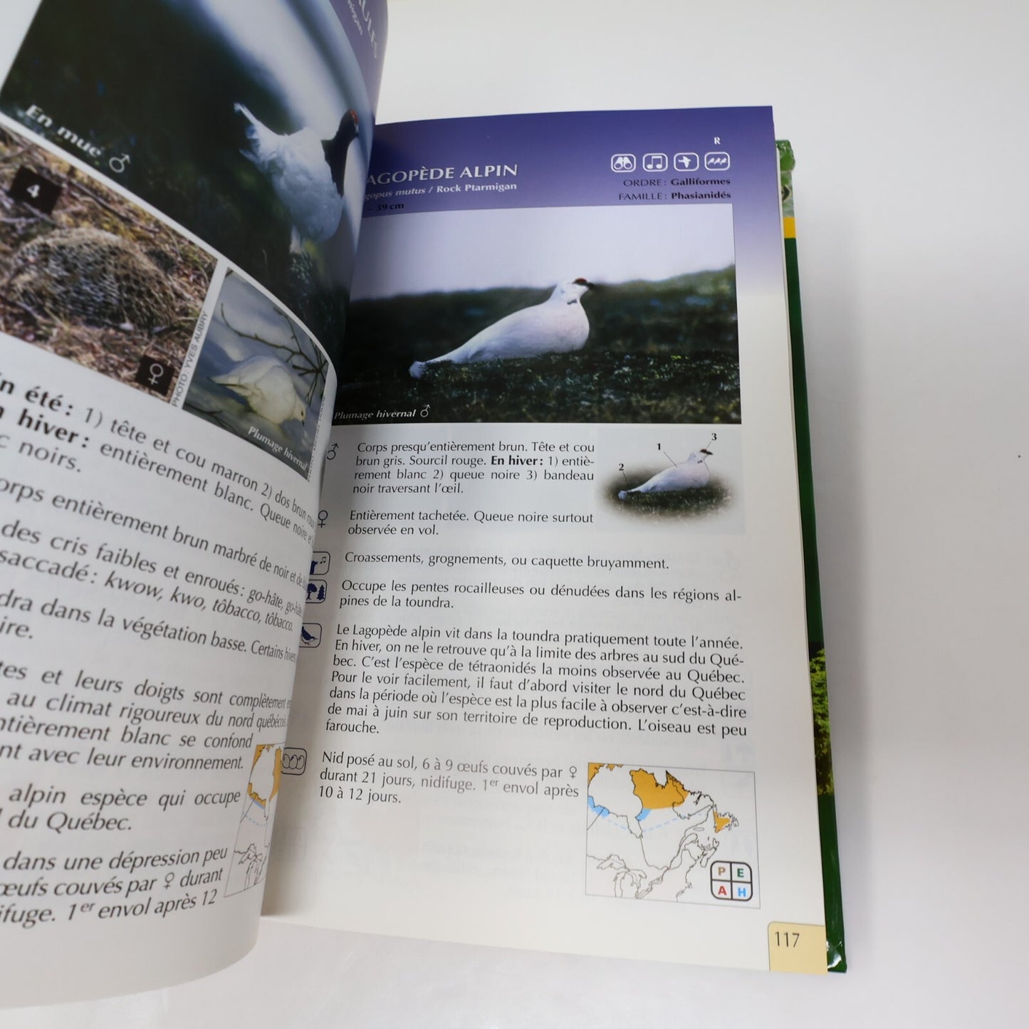 Suzanne Brûlotte Lot 3 Livres Les Oiseaux du Québec Guide d'Identification Books