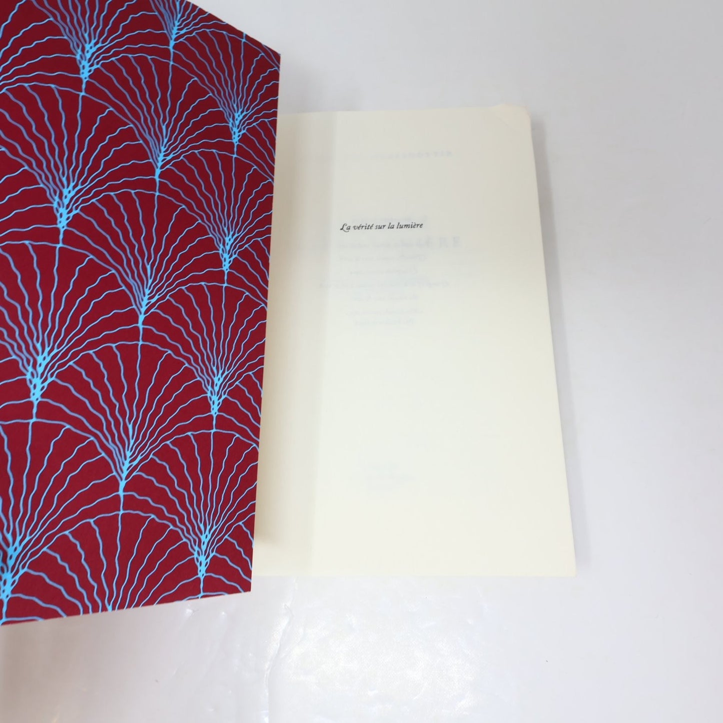 La vérité sur la lumière Audur Ava Ólafsdóttir 2021 Français/French Edition