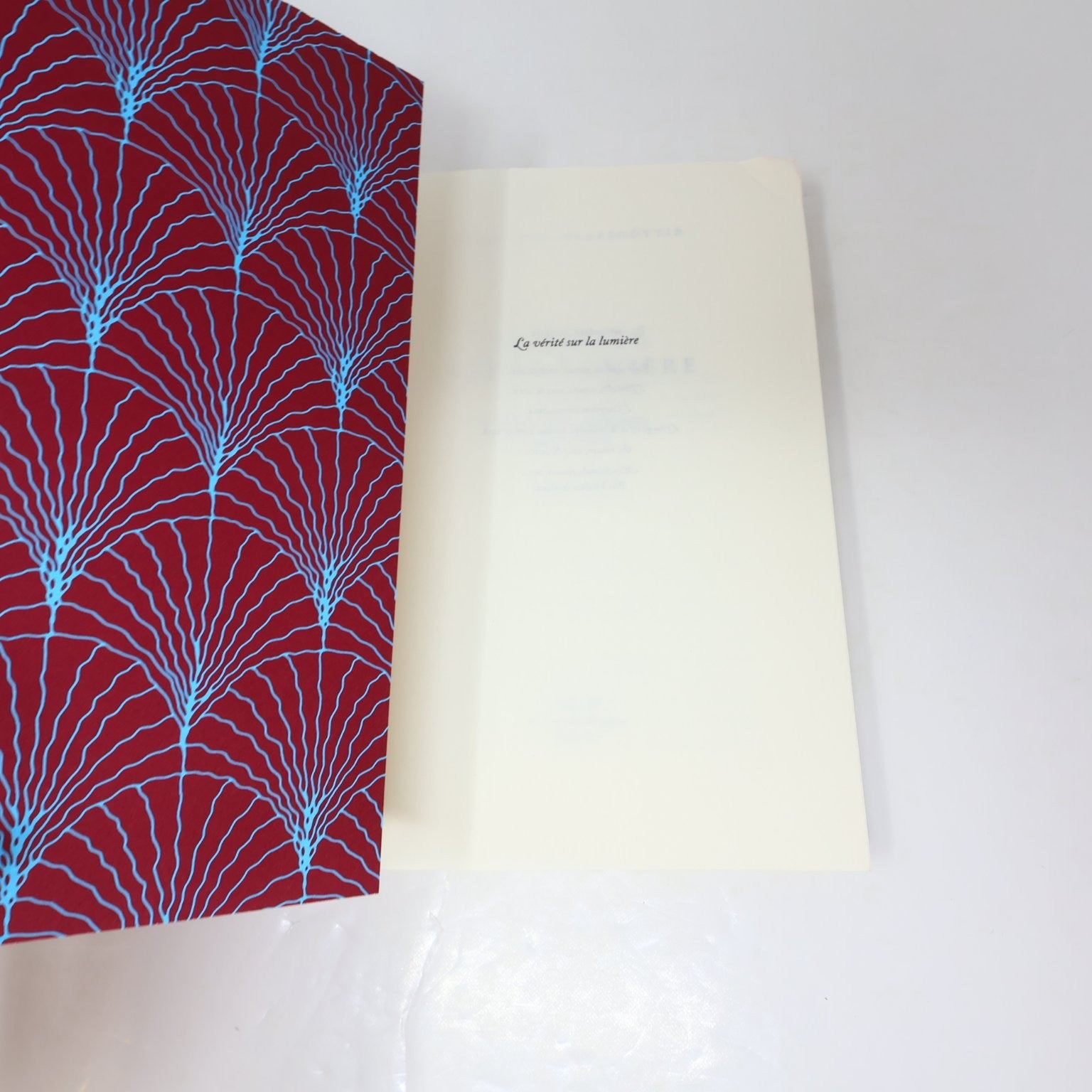 La vérité sur la lumière Audur Ava Ólafsdóttir 2021 Français/French Edition