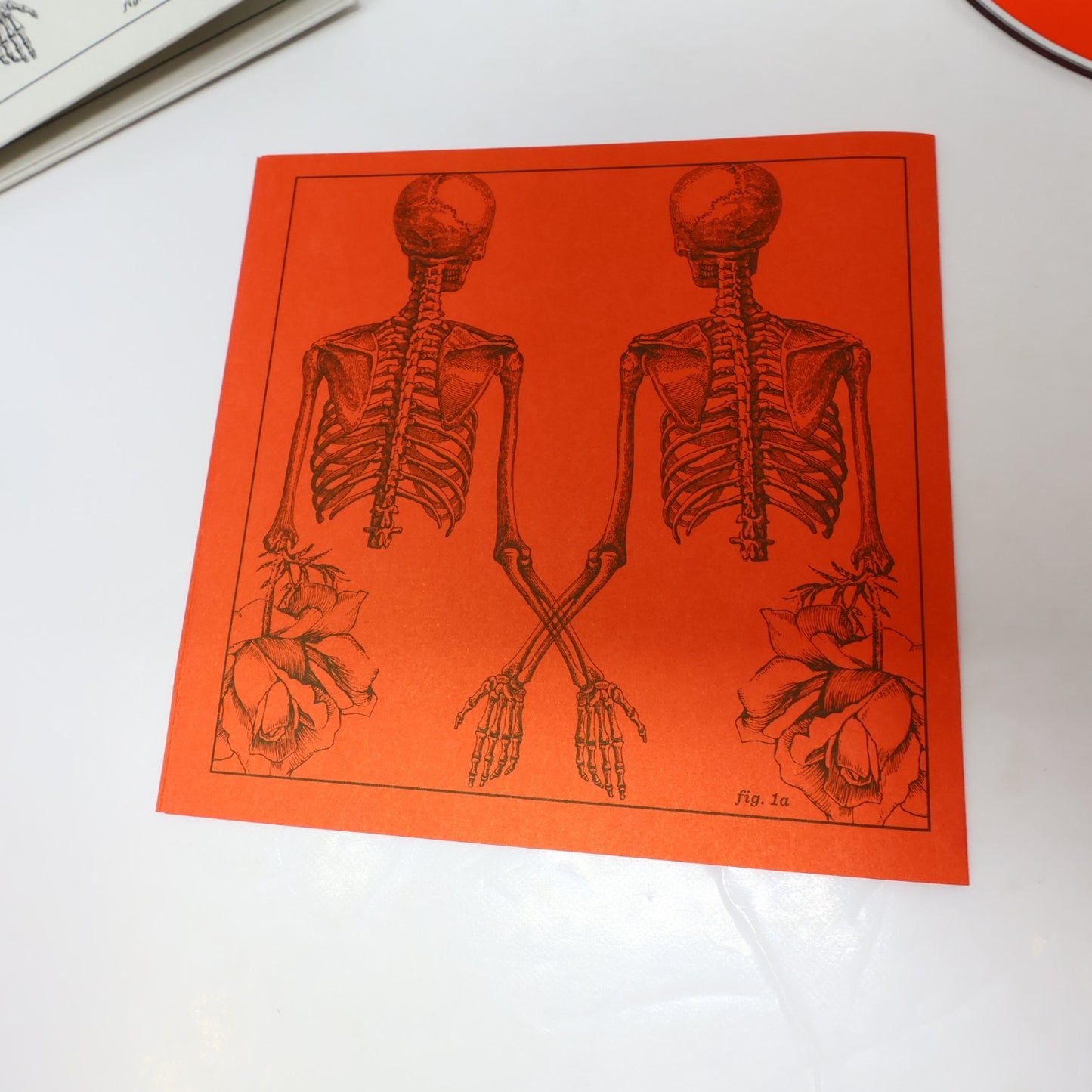 Cœur De Pirate Trauma CD Chansons de le Série Télé 2013 Dare To Care Records