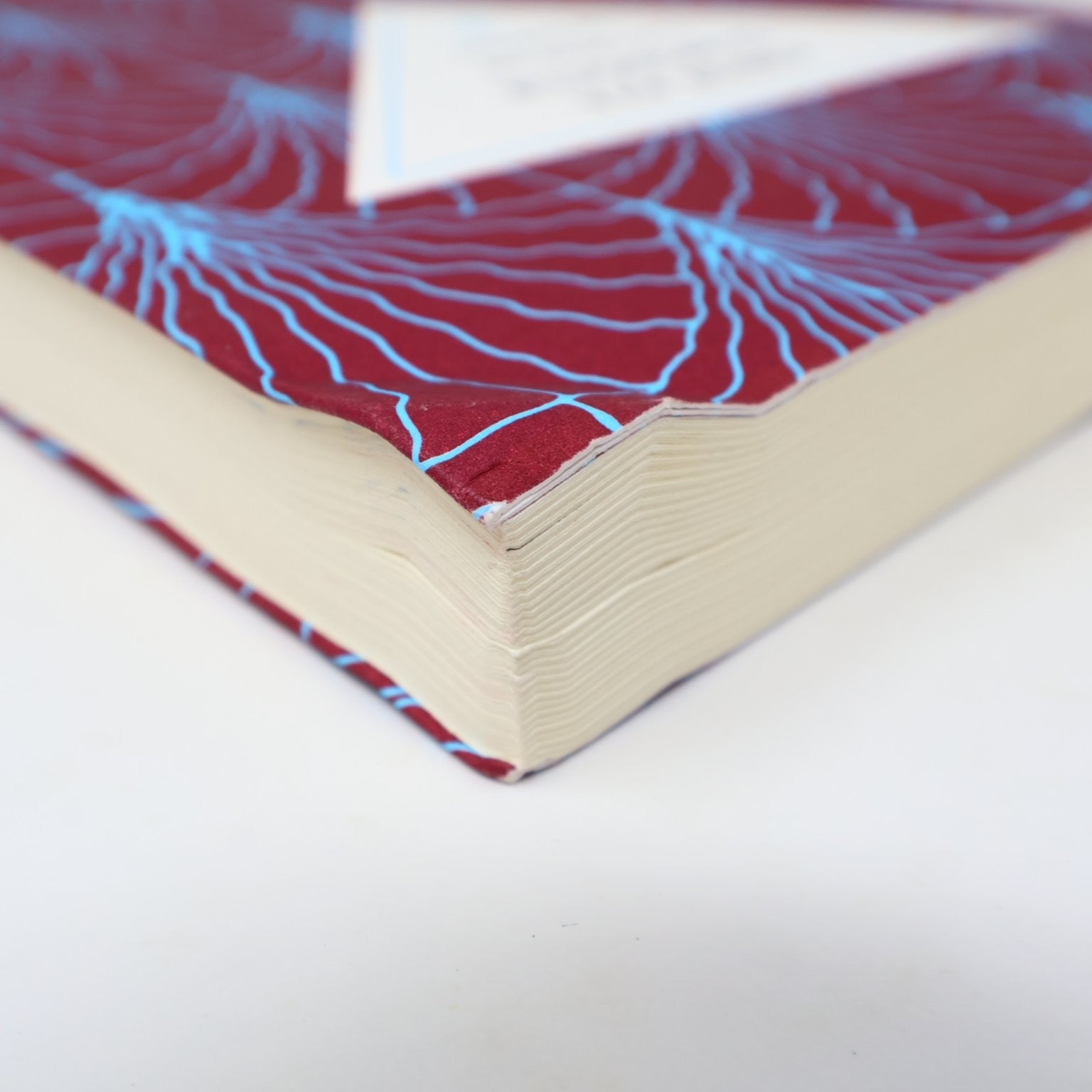 La vérité sur la lumière Audur Ava Ólafsdóttir 2021 Français/French Edition