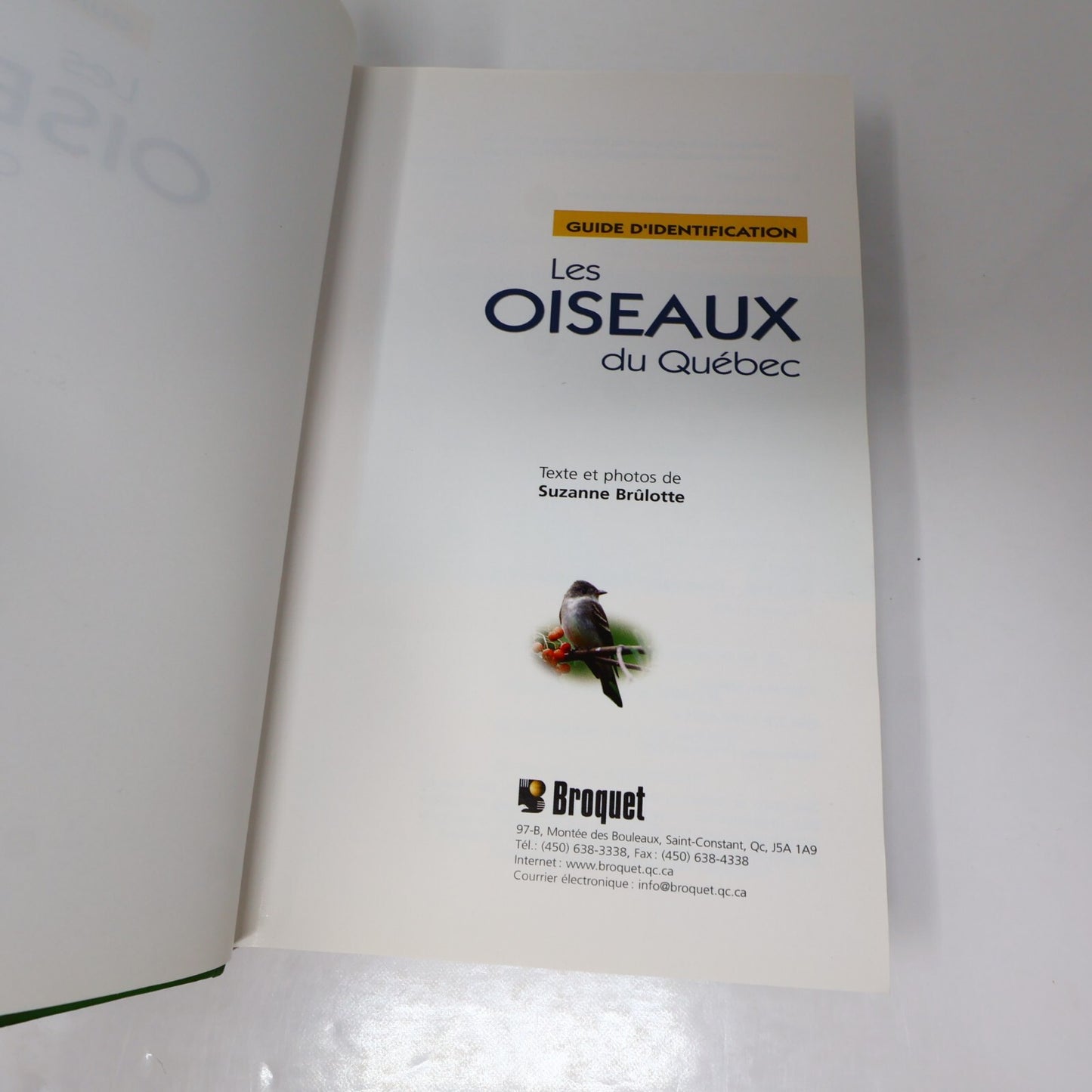 Suzanne Brûlotte Lot 3 Livres Les Oiseaux du Québec Guide d'Identification Books