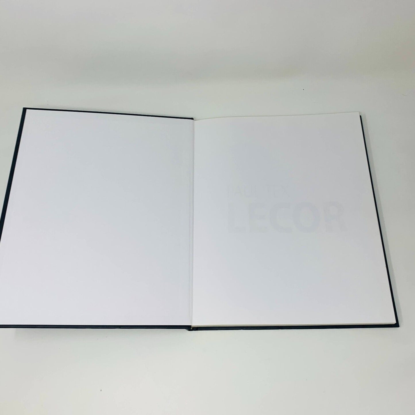2013 Paul Tex Lecor Mon Monde Pour Vous Français/Anglais Livre sur Peintures Art
